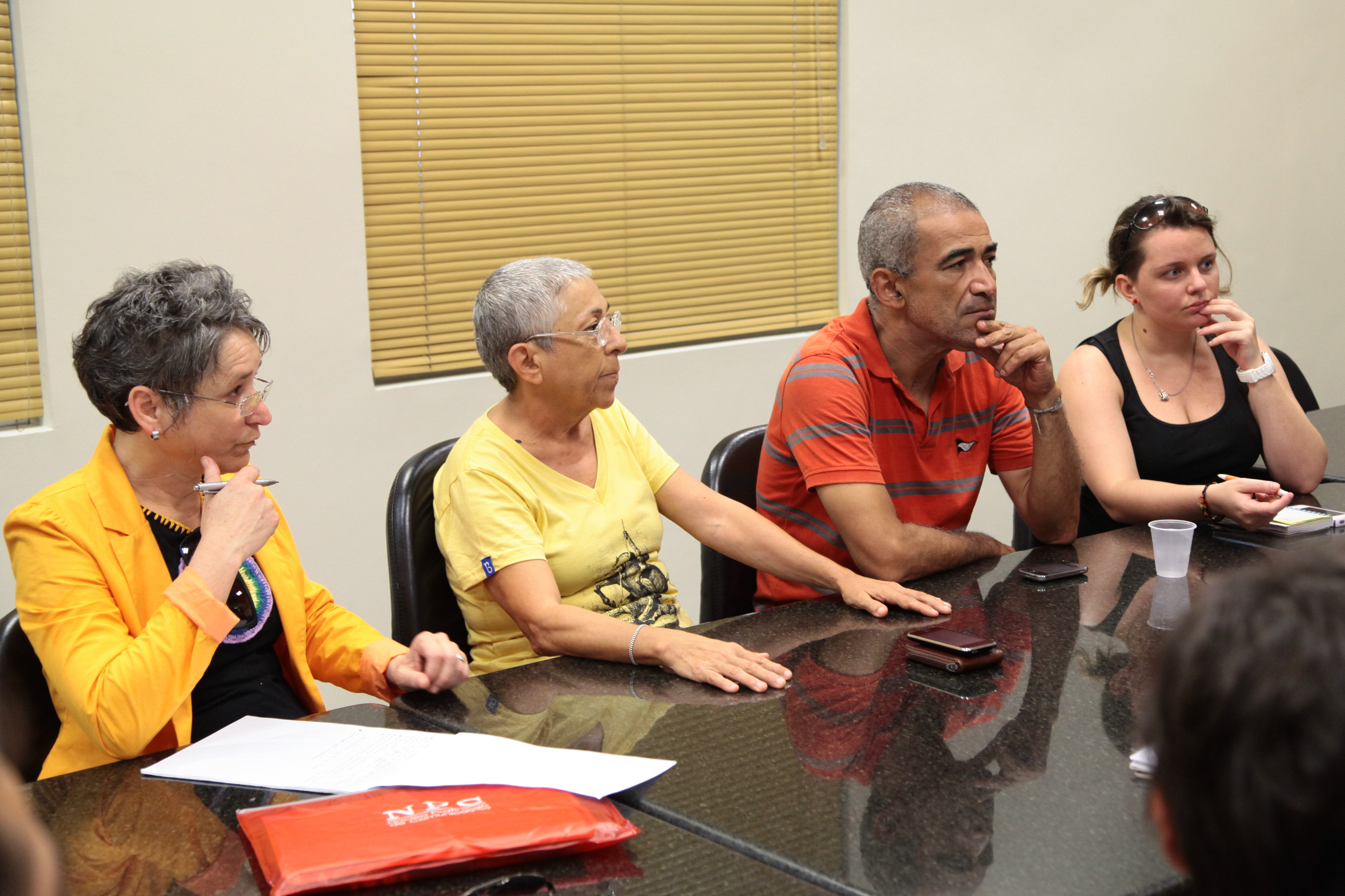 Reunião da Comissão Pró Criação do Conselho Estadual de Direitos LGBT - Foto: Juliana Stadnik / Agência AL