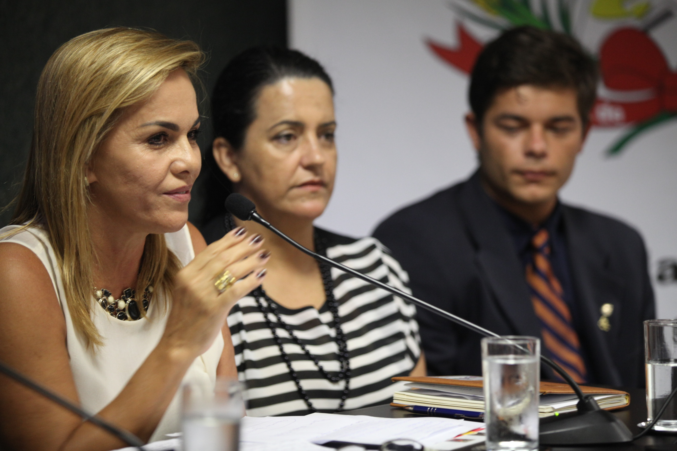 II Fórum Catarinense  de Doenças Raras - Margarete Carreirão
