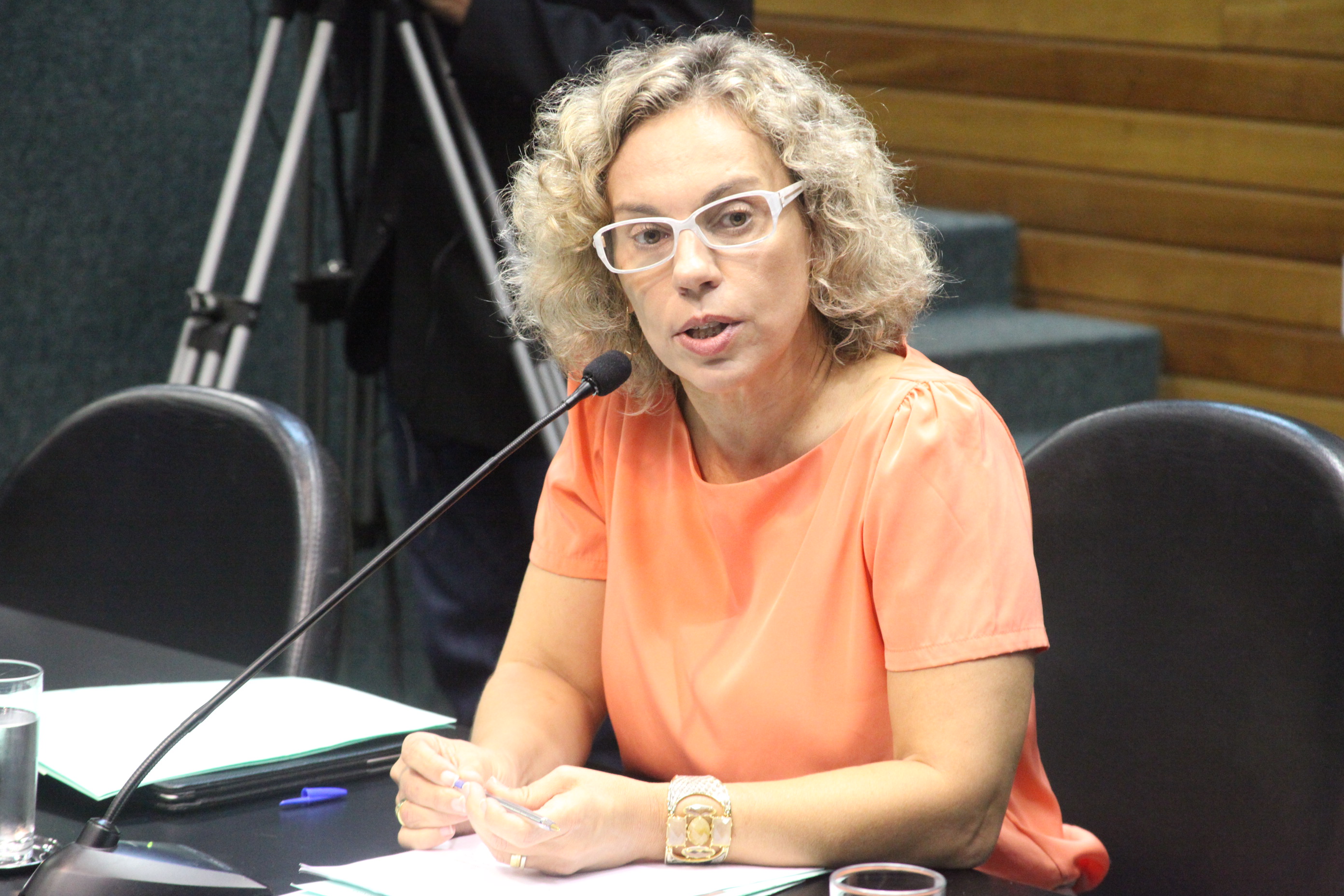 Reunião da Comisão de Constituição e Justiça. Foto: Fábio Queiroz / Agência AL