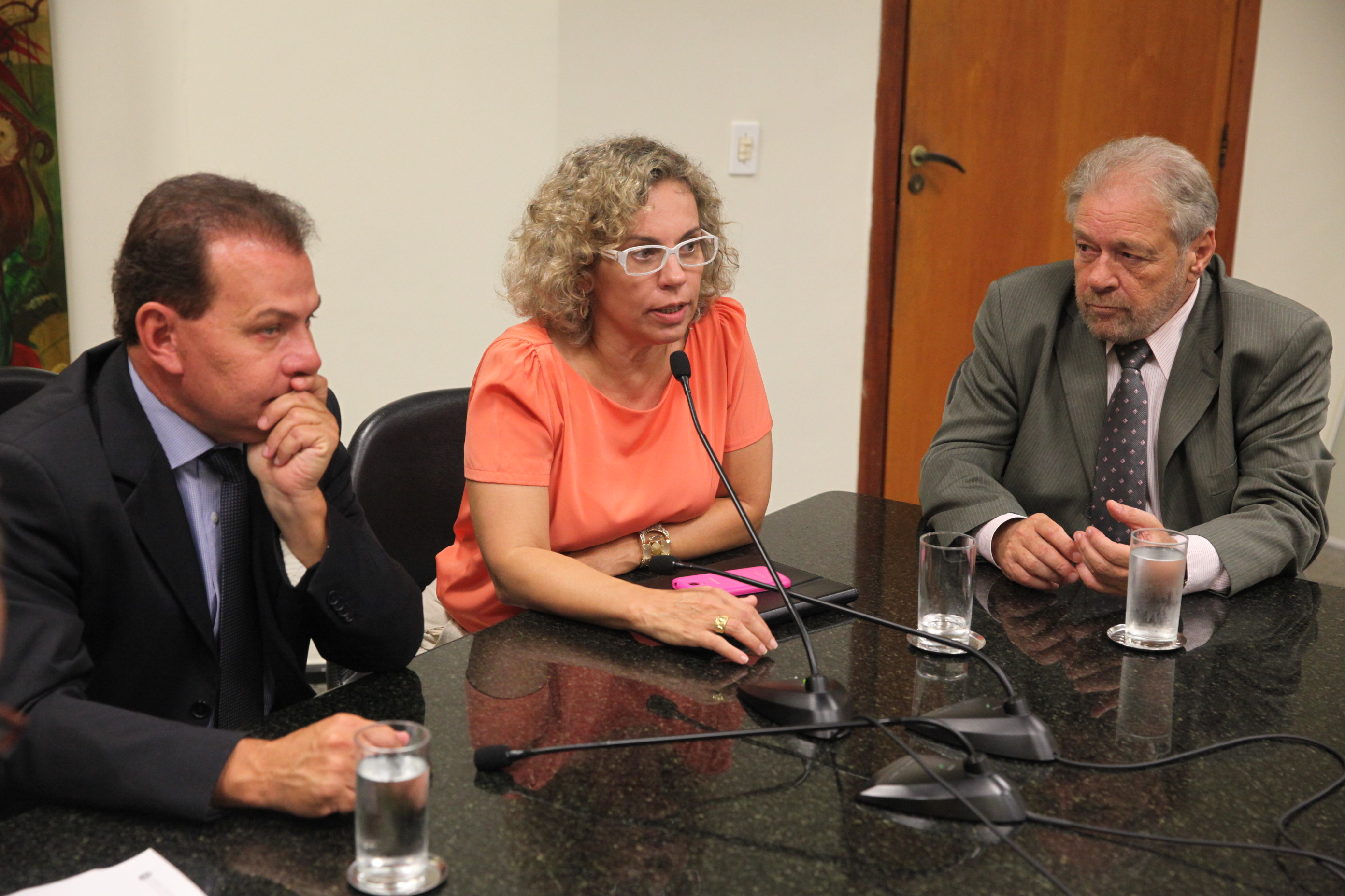 Reunião da Comissão de Turismo e Meio Ambiente - Foto: Lucas Gabriel Diniz