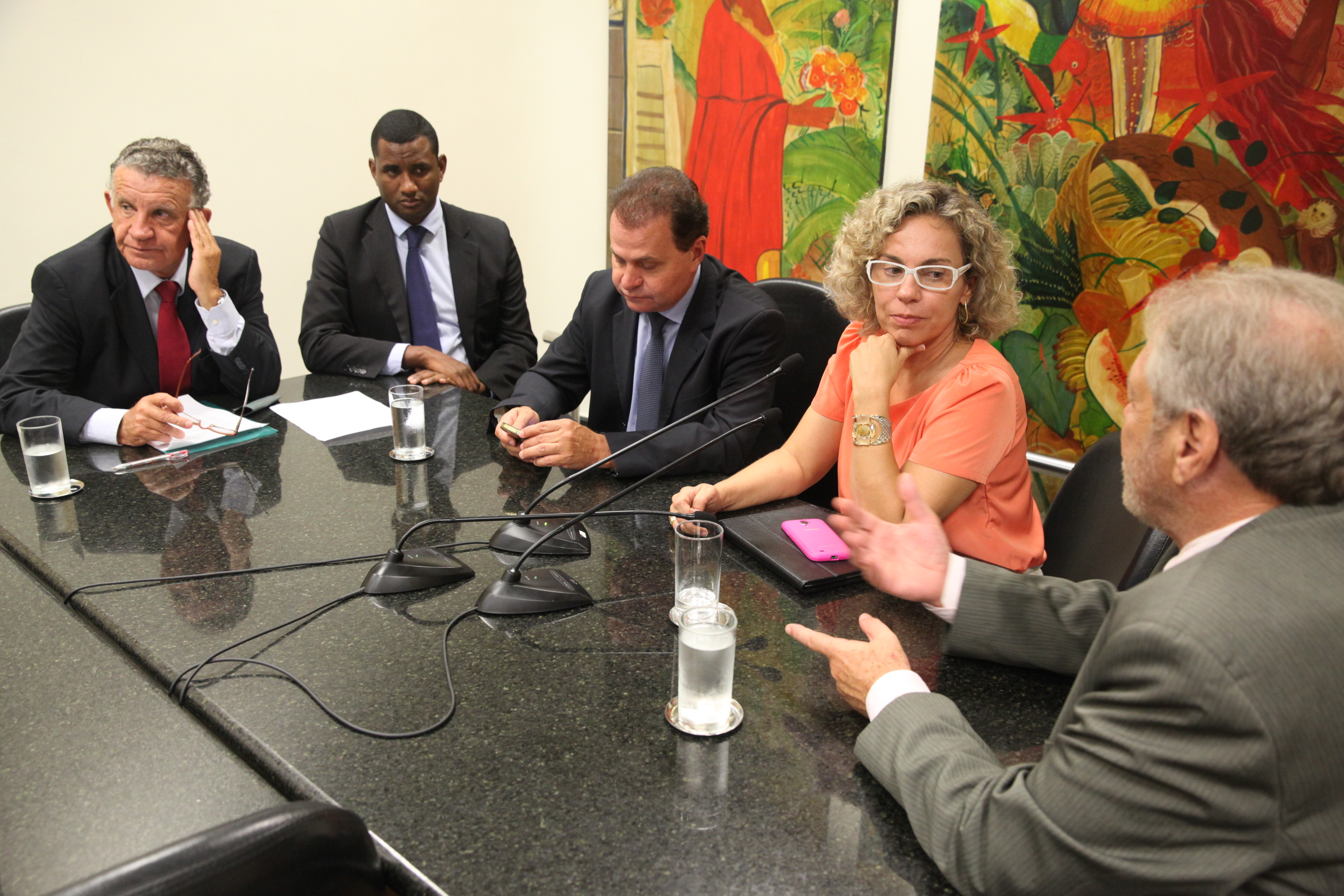 Reunião da Comissão de Turismo e Meio Ambiente - Foto: Lucas Gabriel Diniz