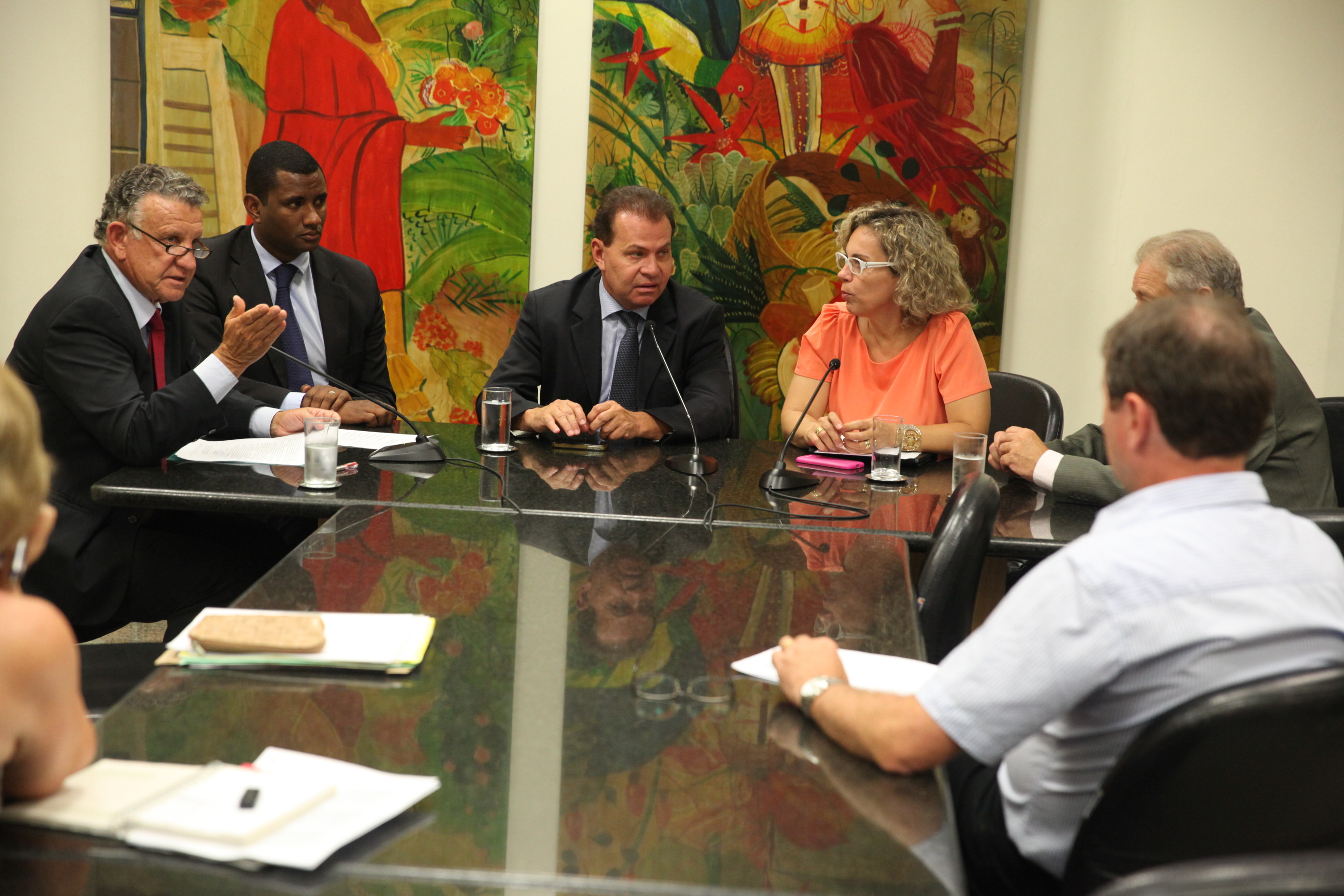 Reunião da Comissão de Turismo e Meio Ambiente - Foto: Lucas Gabriel Diniz