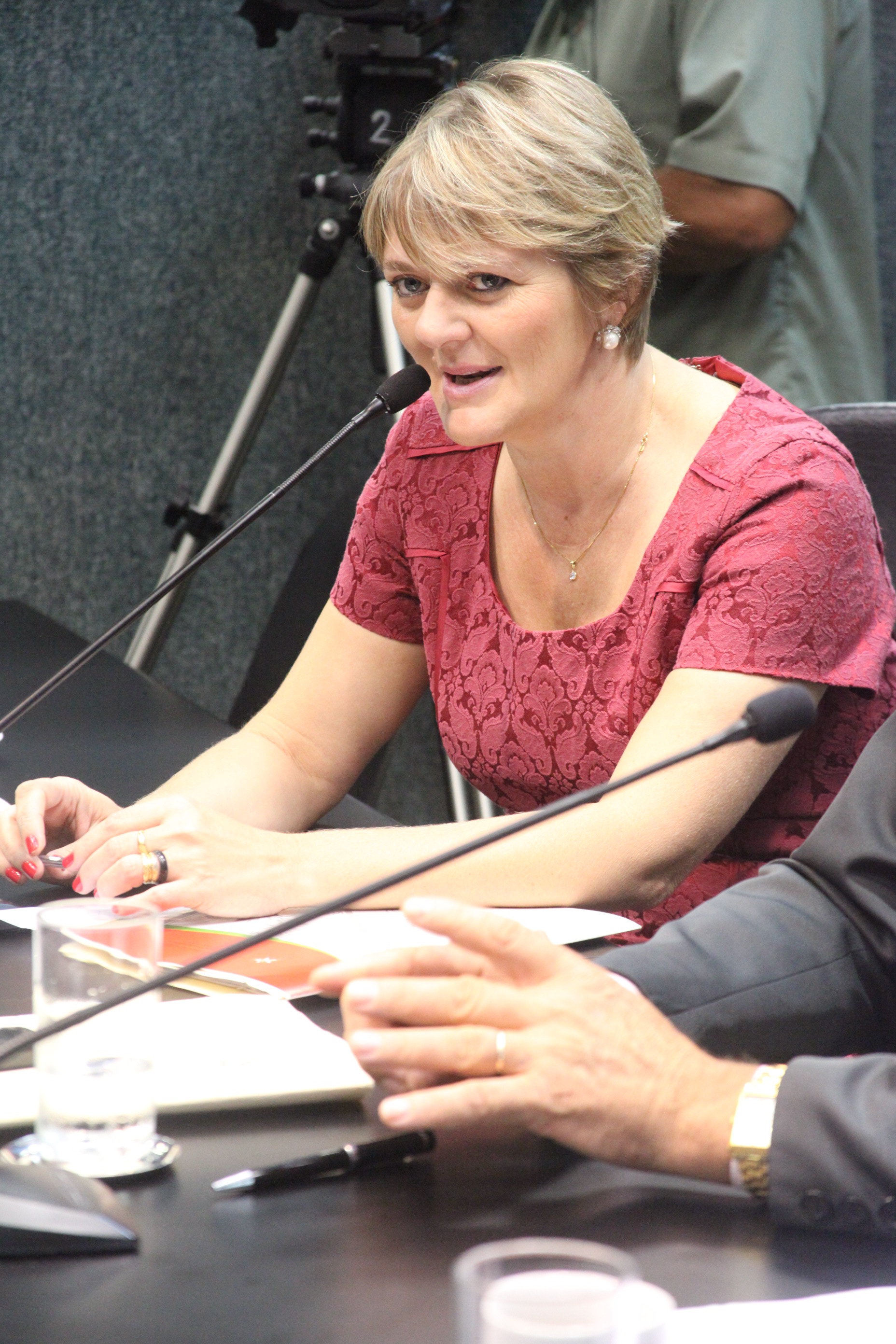 Deputada Luciane Carminatti (PT). Reunião da Comissão de Finanças e Tributação. Foto: Fábio Queiroz / Agência AL