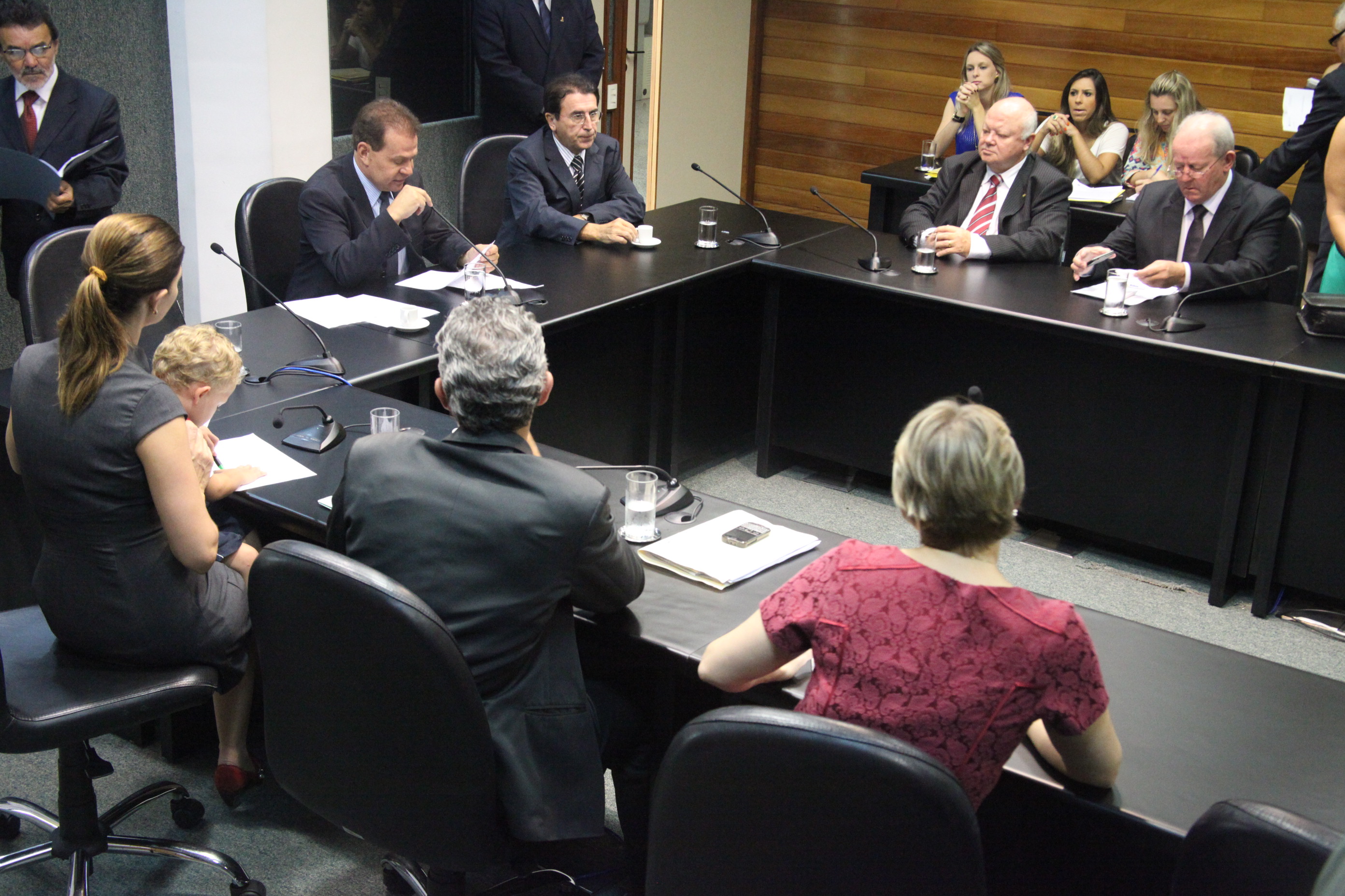 Reunião da Comissão de Finanças e Tributação. Foto: Fábio Queiroz / Agência AL