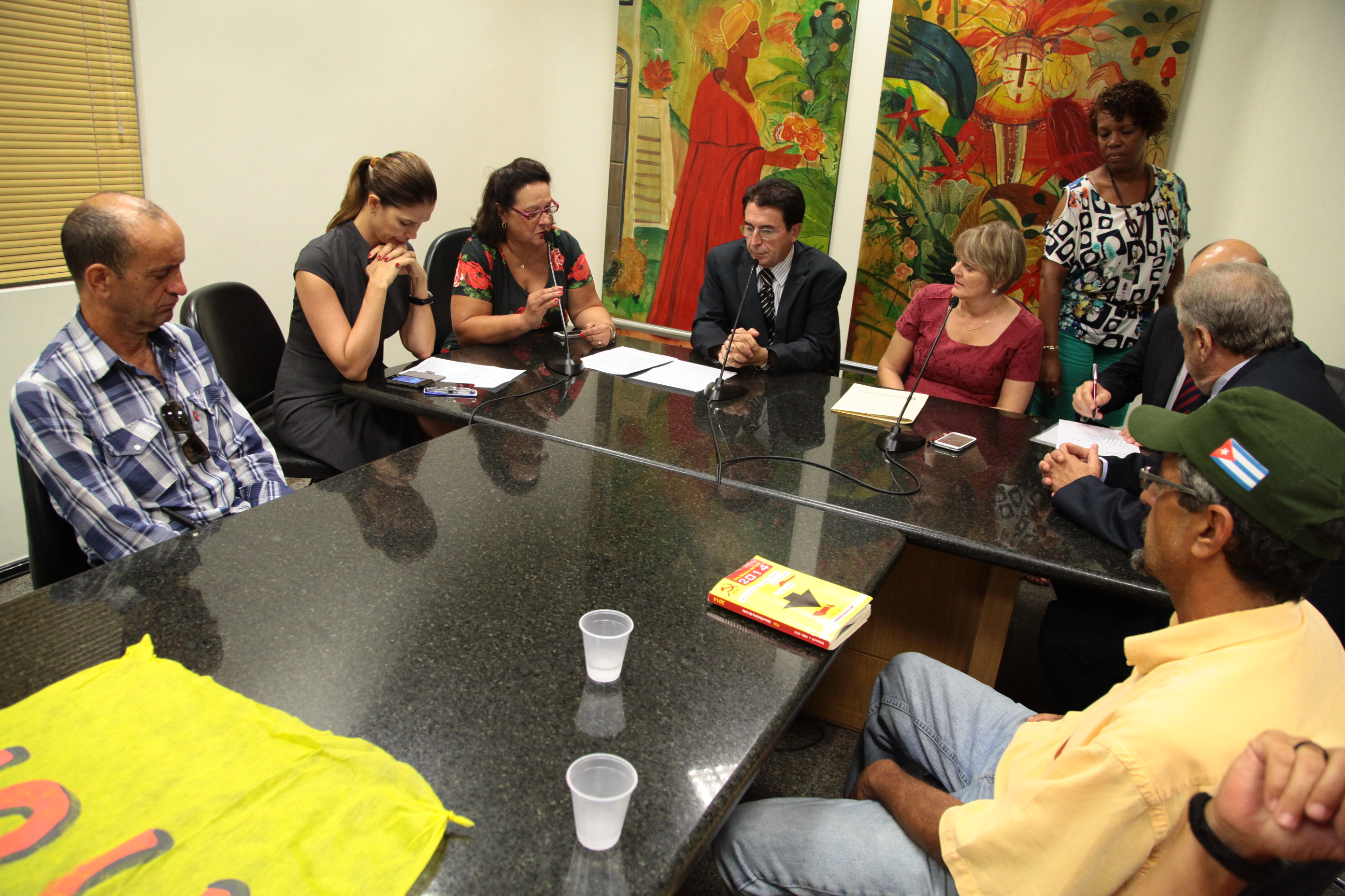 Reunião da Comissão de Direitos Humanos. Fotos: Miriam Zomer/Agência AL