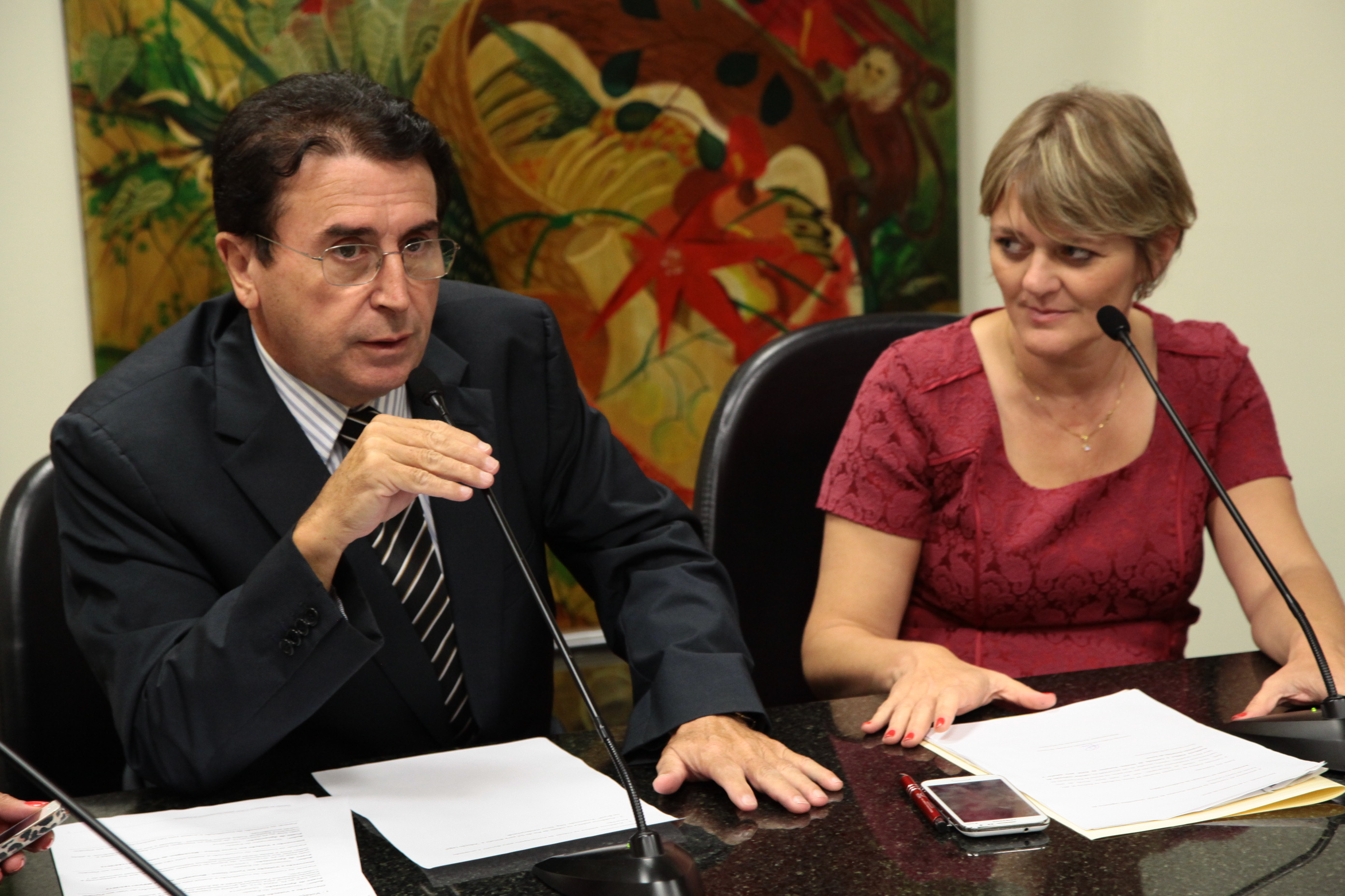 Reunião da Comissão de Direitos Humanos. Fotos: Miriam Zomer/Agência AL