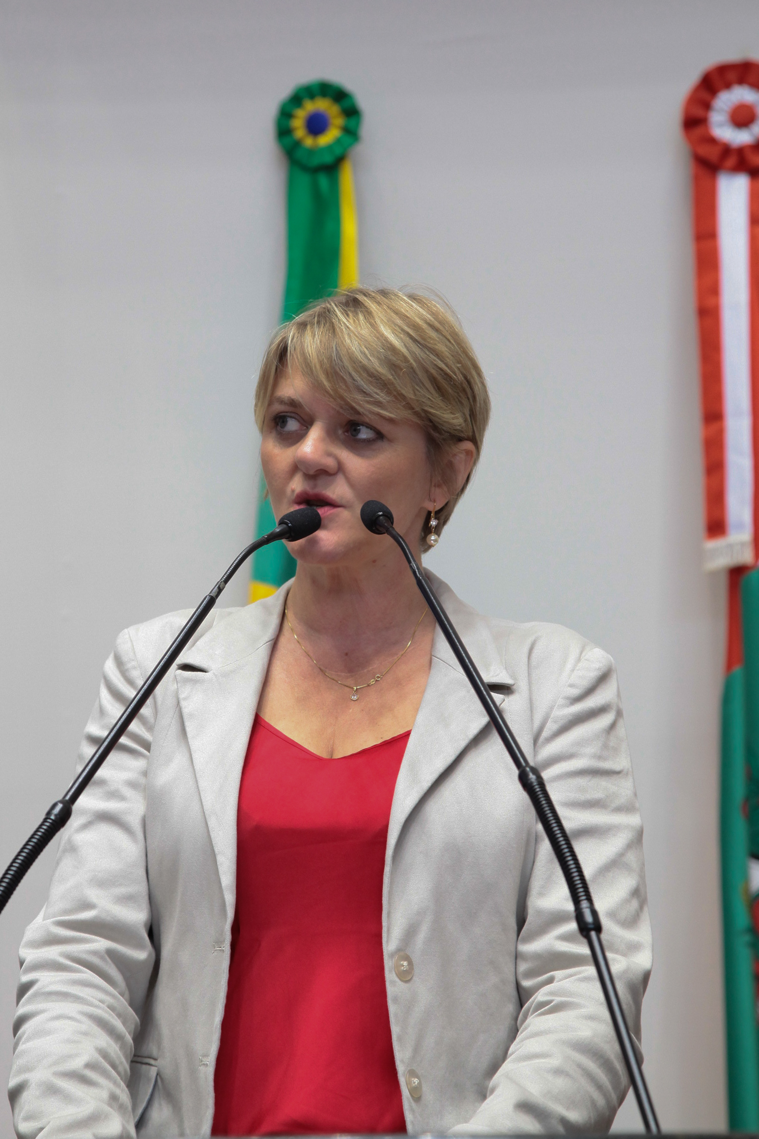 Sessão Ordinária - Dep. Luciane Carminatti - Foto: Juliana Stadnik / Agência AL