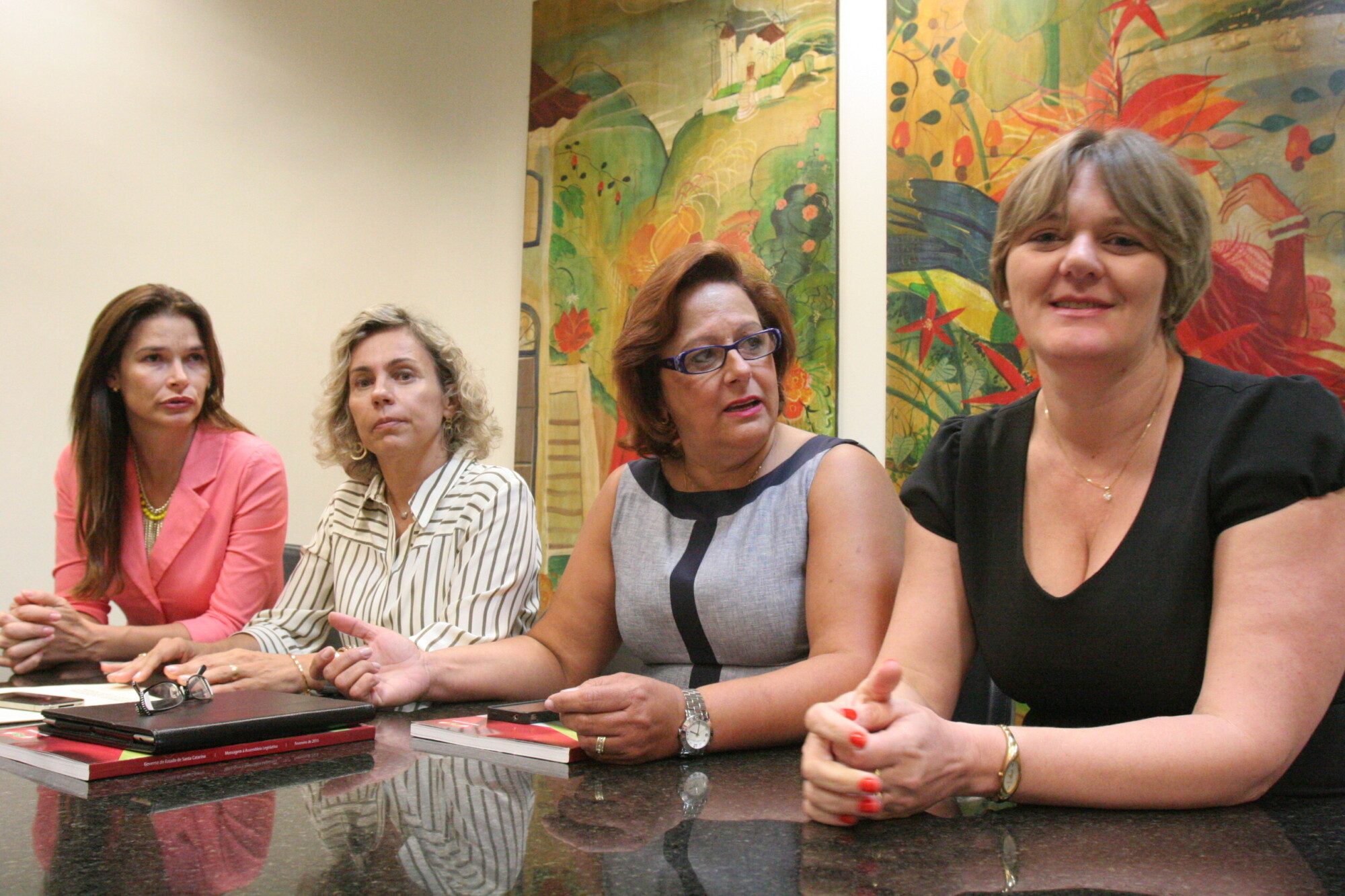 Parlamento atua na defesa dos direitos da mulher em várias frentes
