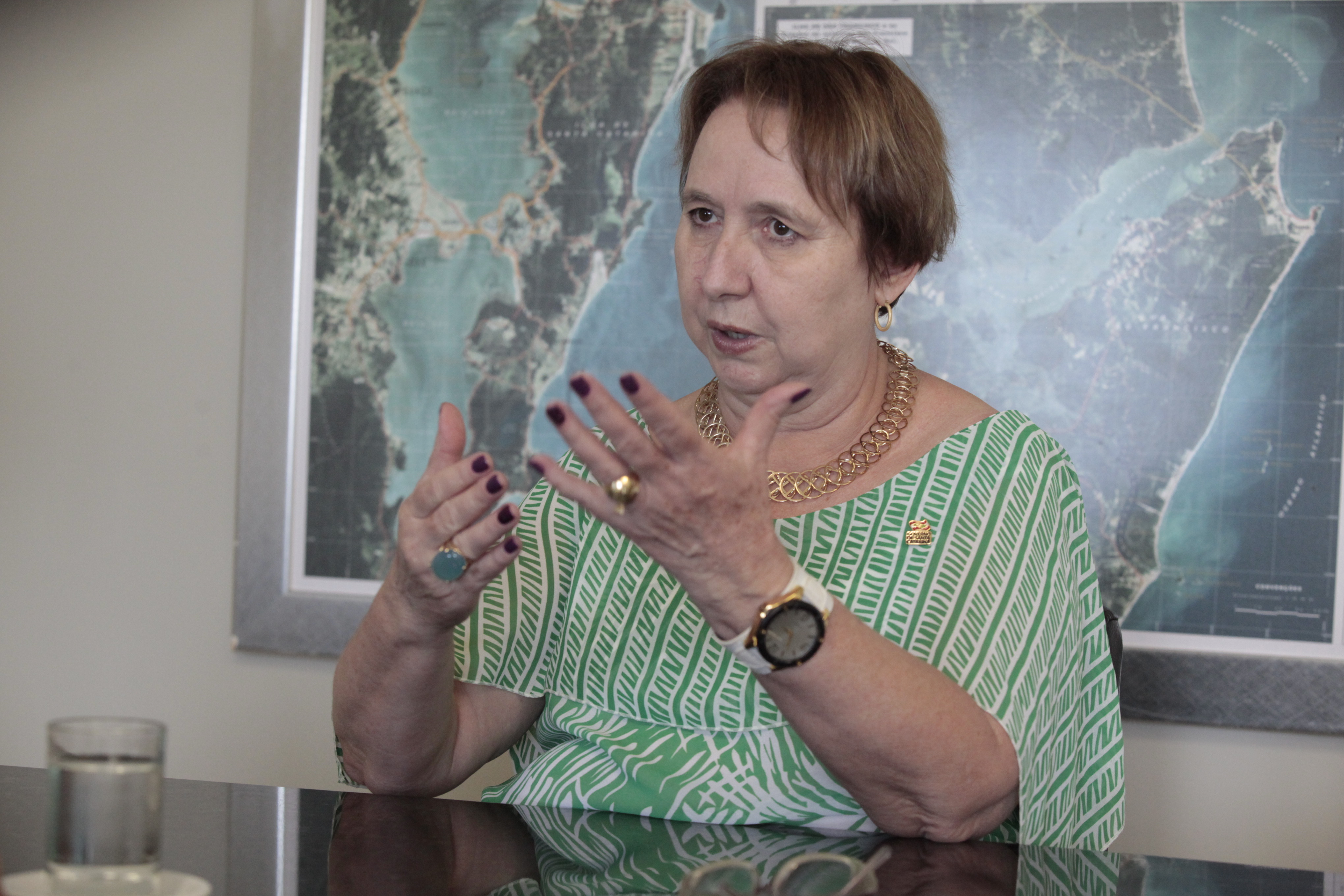 Secretaria de Estado da Saúde Tânia Eberhardt  Foto Carlos Kilian/Agencia AL