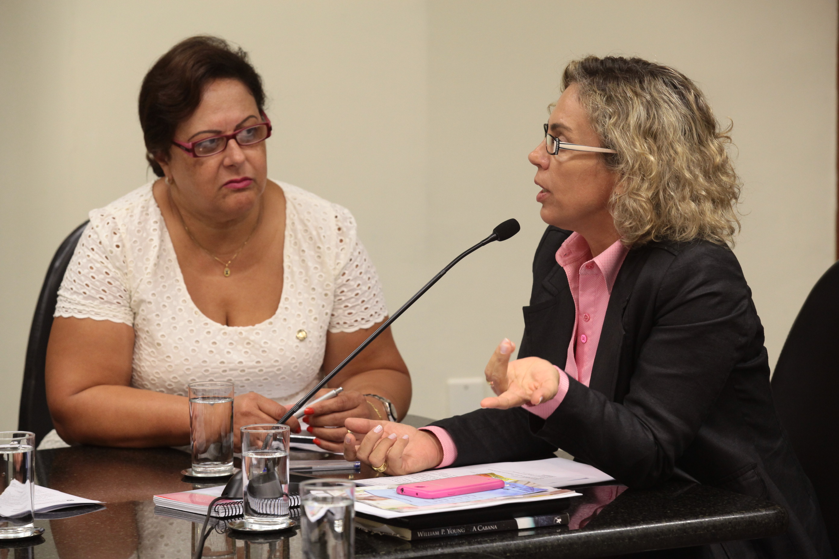 Comissão de Direito das Crianças e Adolescentes. Fotos: Miriam Zomer/Agência AL