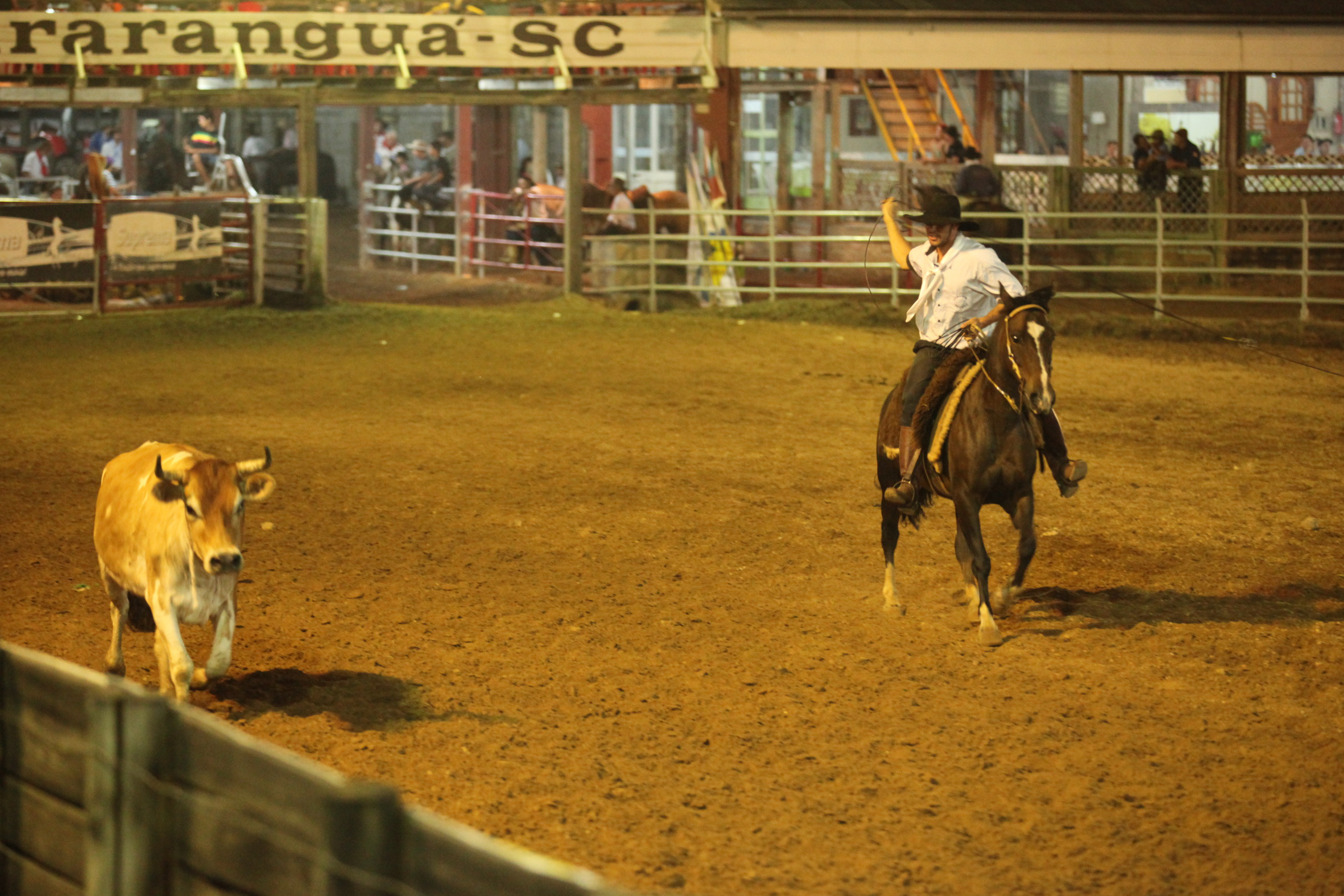 Abertura do XI Rodeio Internacional do Caverá - Foto: Juliana Stadnik / Agência AL