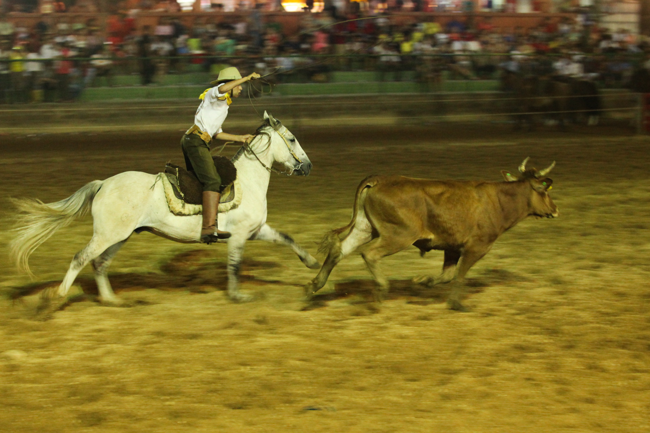 Abertura do XI Rodeio Internacional do Caverá - Foto: Juliana Stadnik / Agência AL