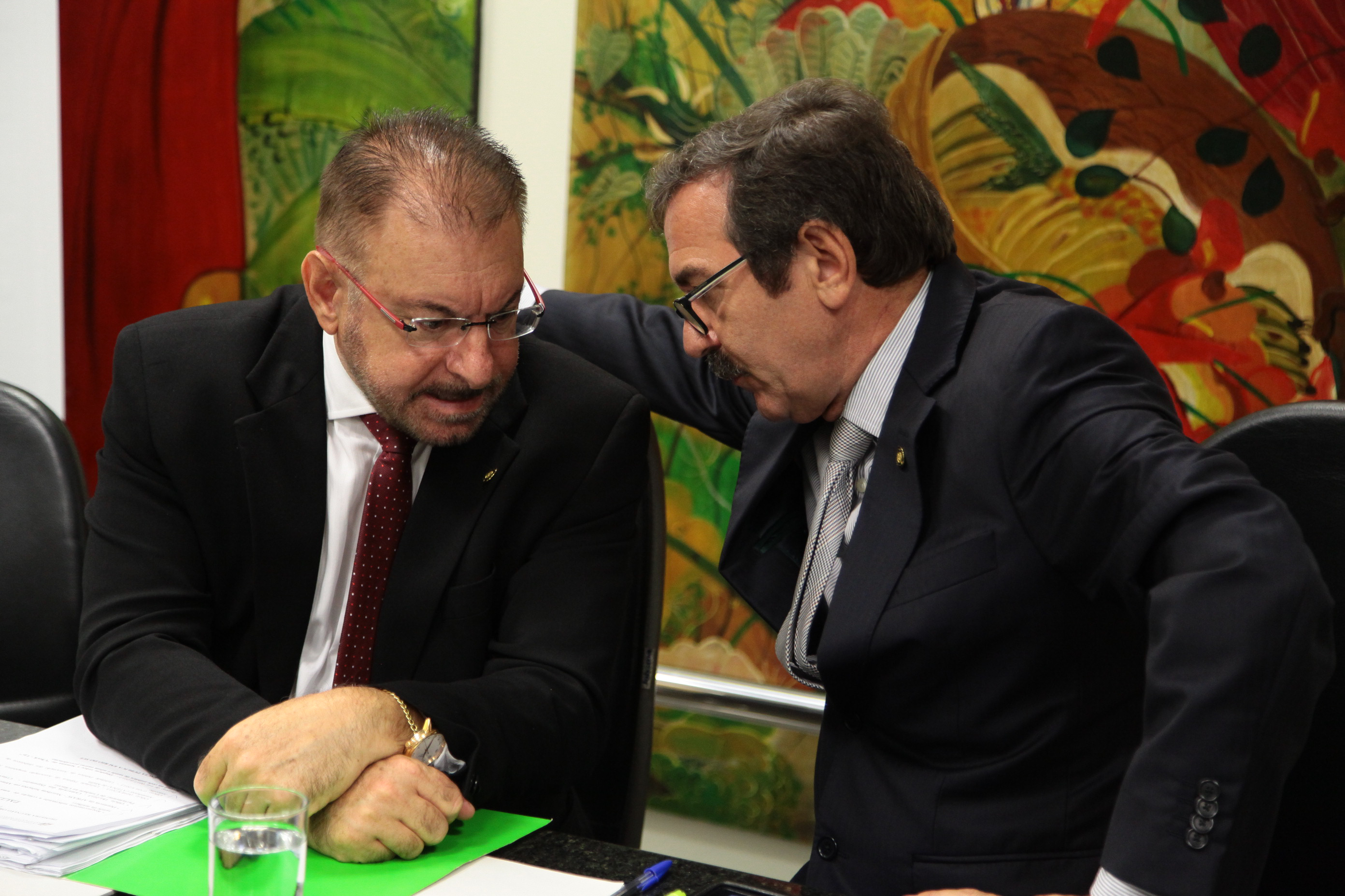 Reunião da Comissão de Saúde. Fotos: Juliana Stadnik  / Agência AL
