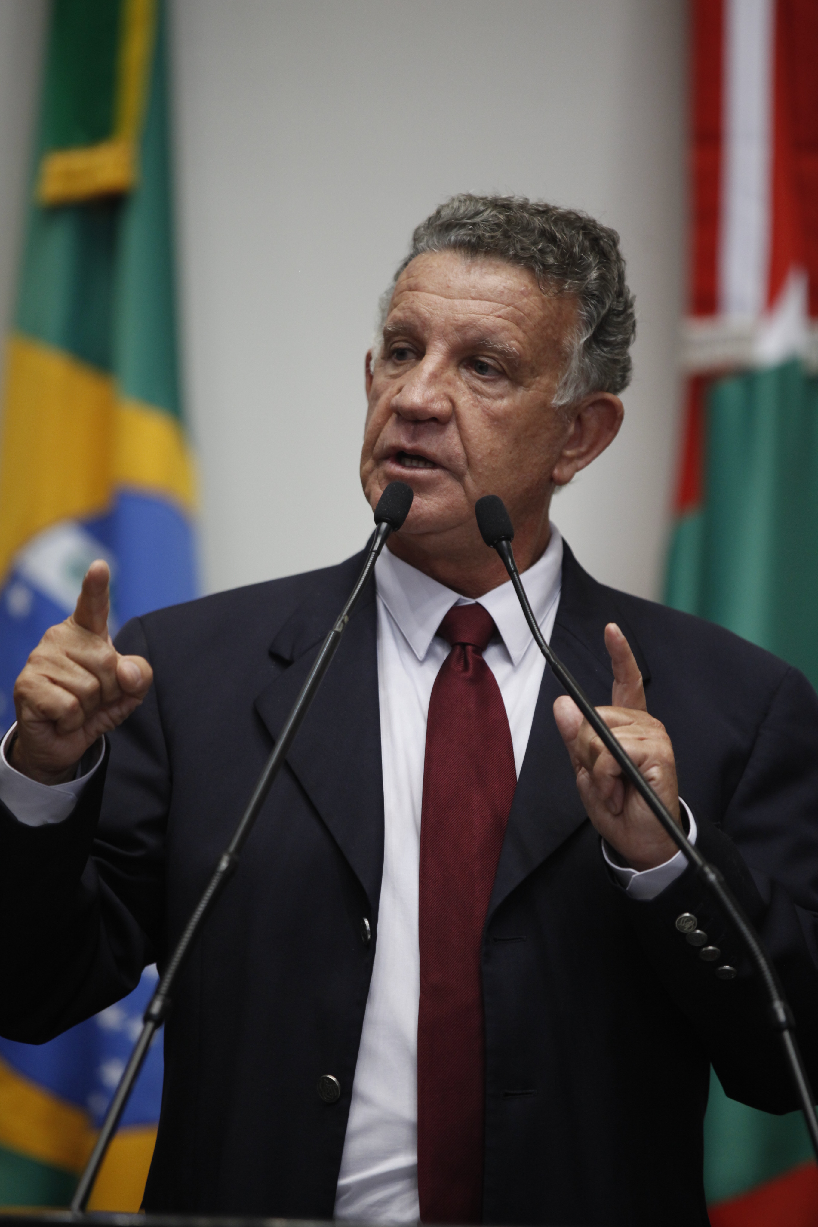 Sessão Ordinária Plenário Osni Régis  Deputado  Edison Andrino  (PMDB)   Foto Carlos Kilian/Agencia AL