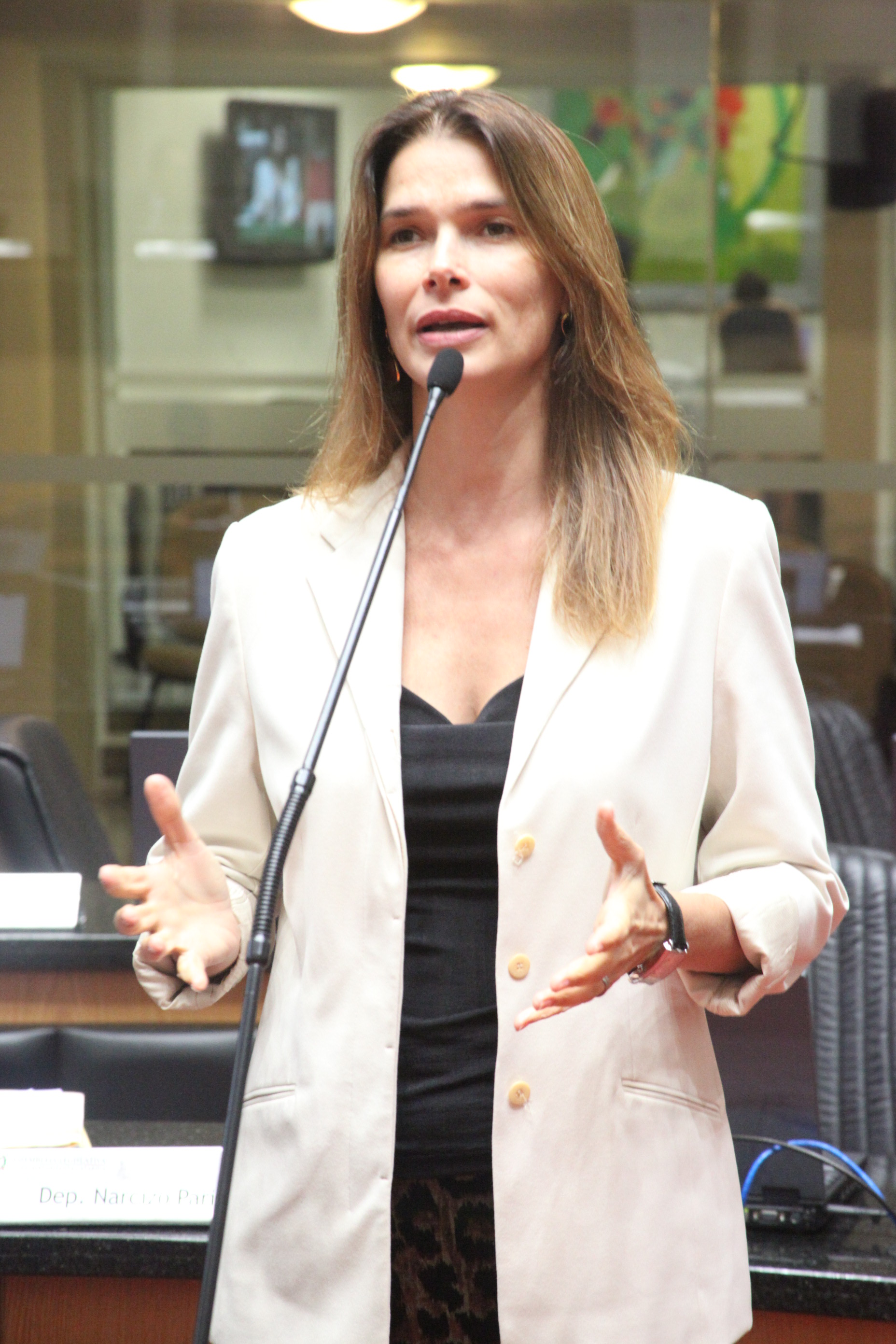 Sessão Ordinária. Foto: Fábio Queiroz / Agência AL