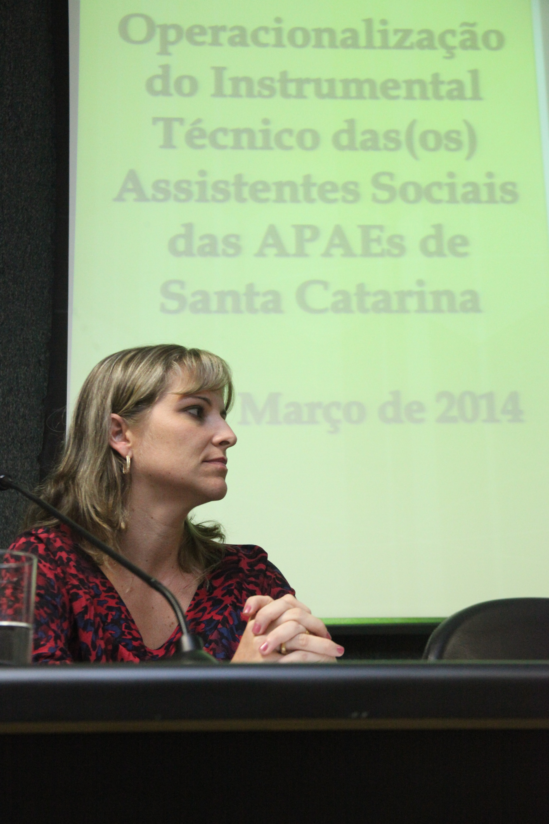 Seminário de operacionalização do instrumental técnico dos assistentes sociais das APAEs de Santa Catarina. Foto: Fábio Queiroz / Agência AL