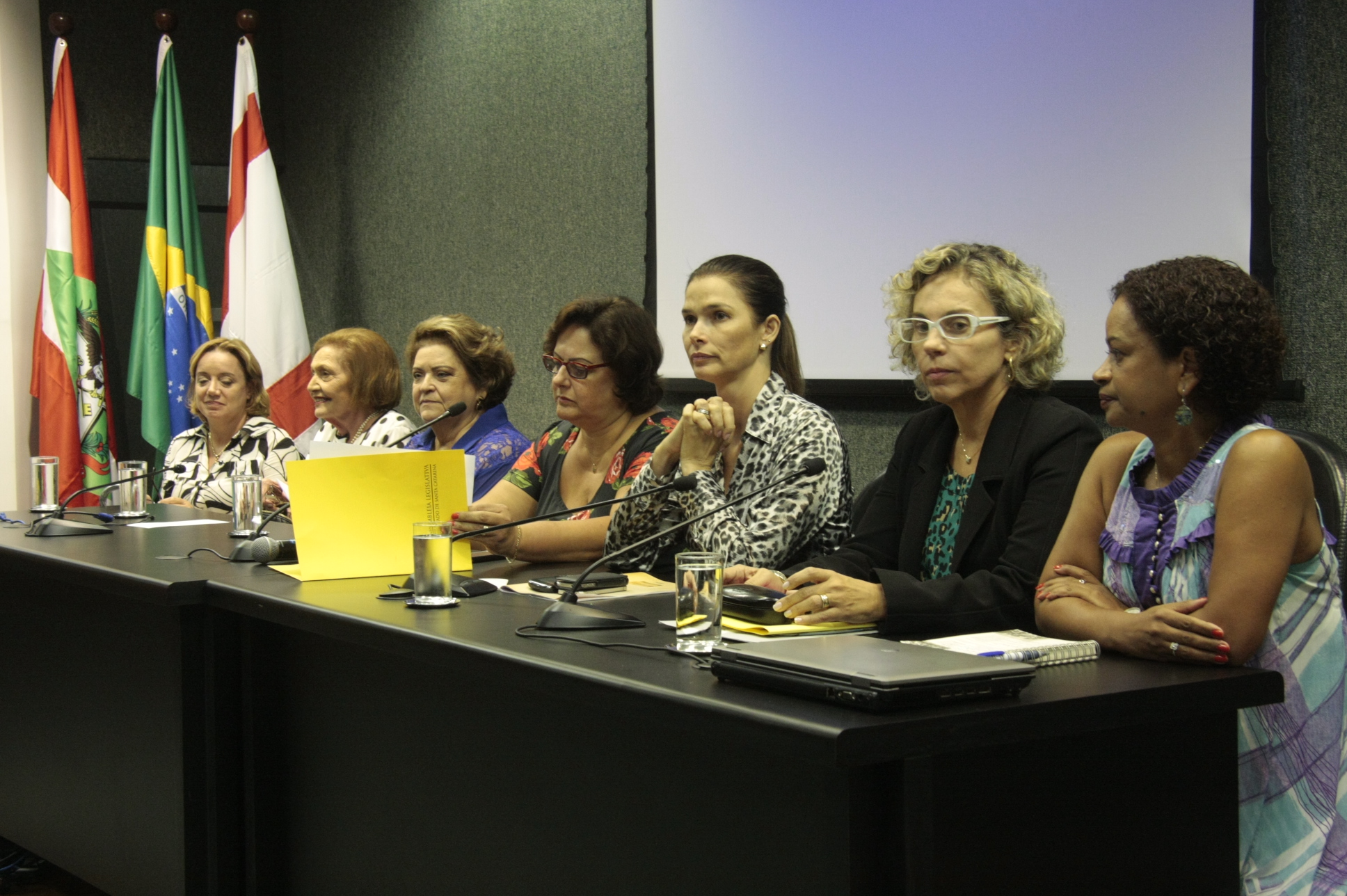 Voto Feminino – Mulheres na Política