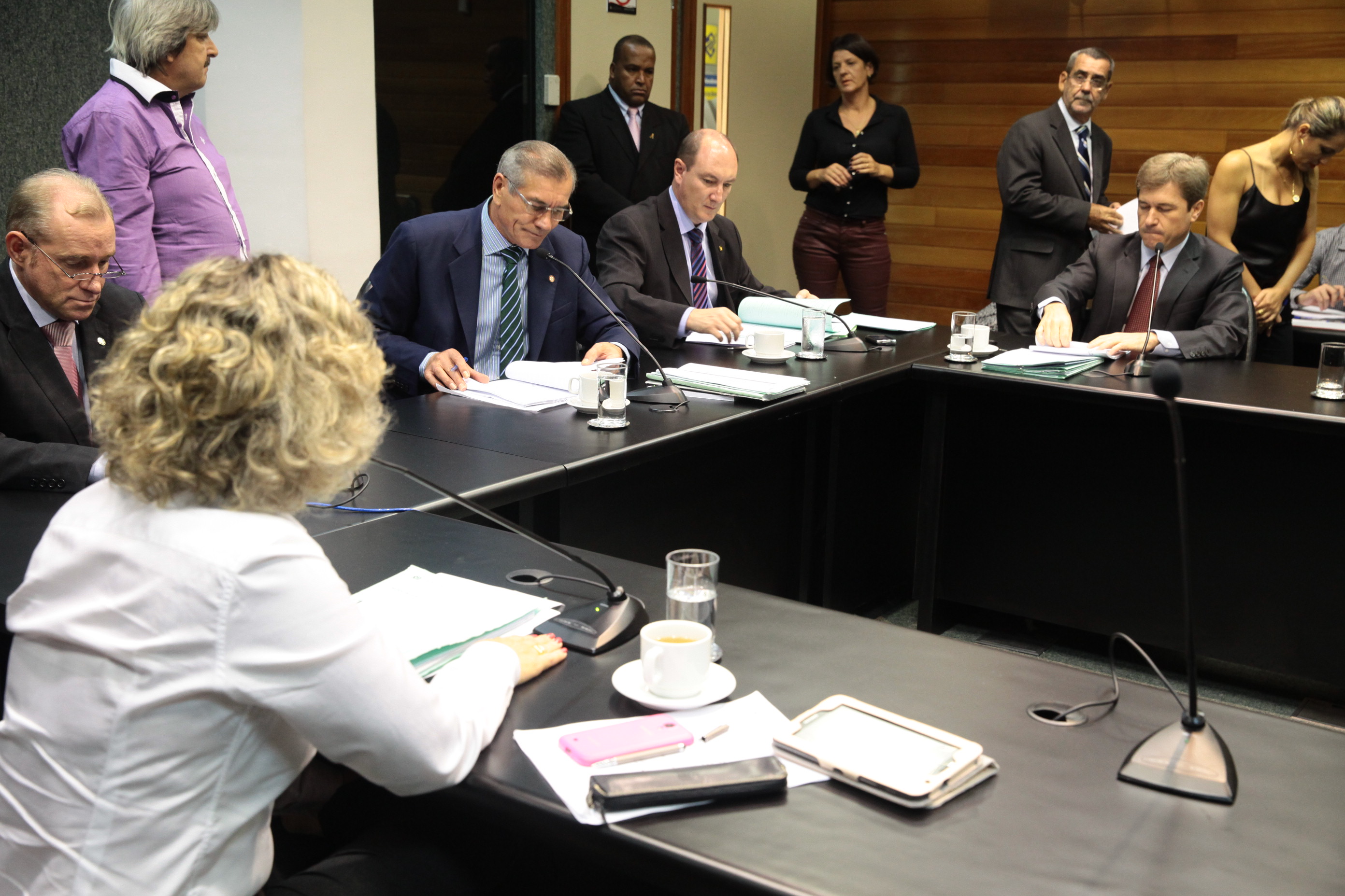 Reunião da Comissão de Constituição e Justiça. Foto: Miriam Zomer/ Agência AL