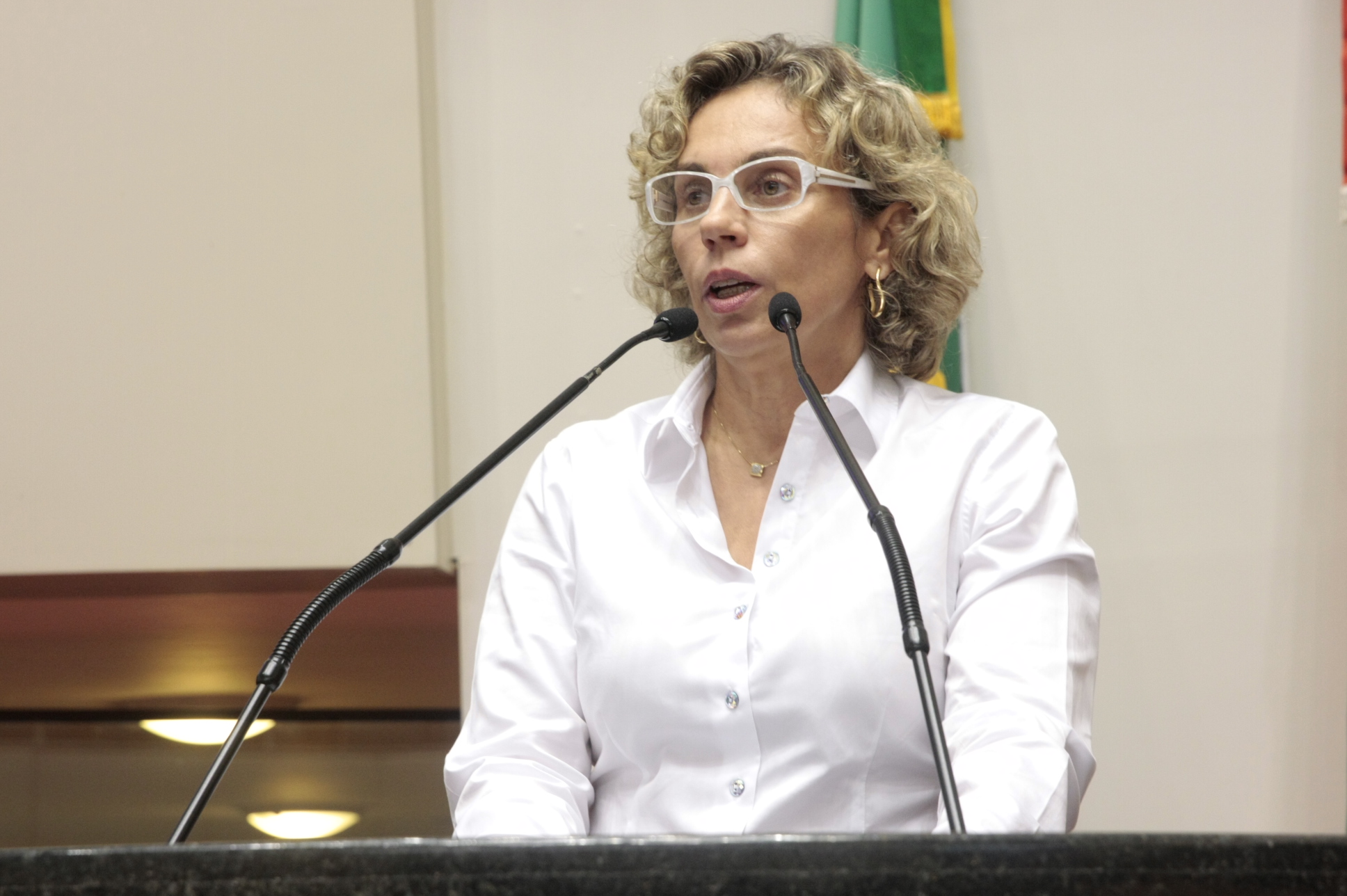 Sessão Ordinária - Foto: Eduardo Guedes de Oliveira / Agência AL