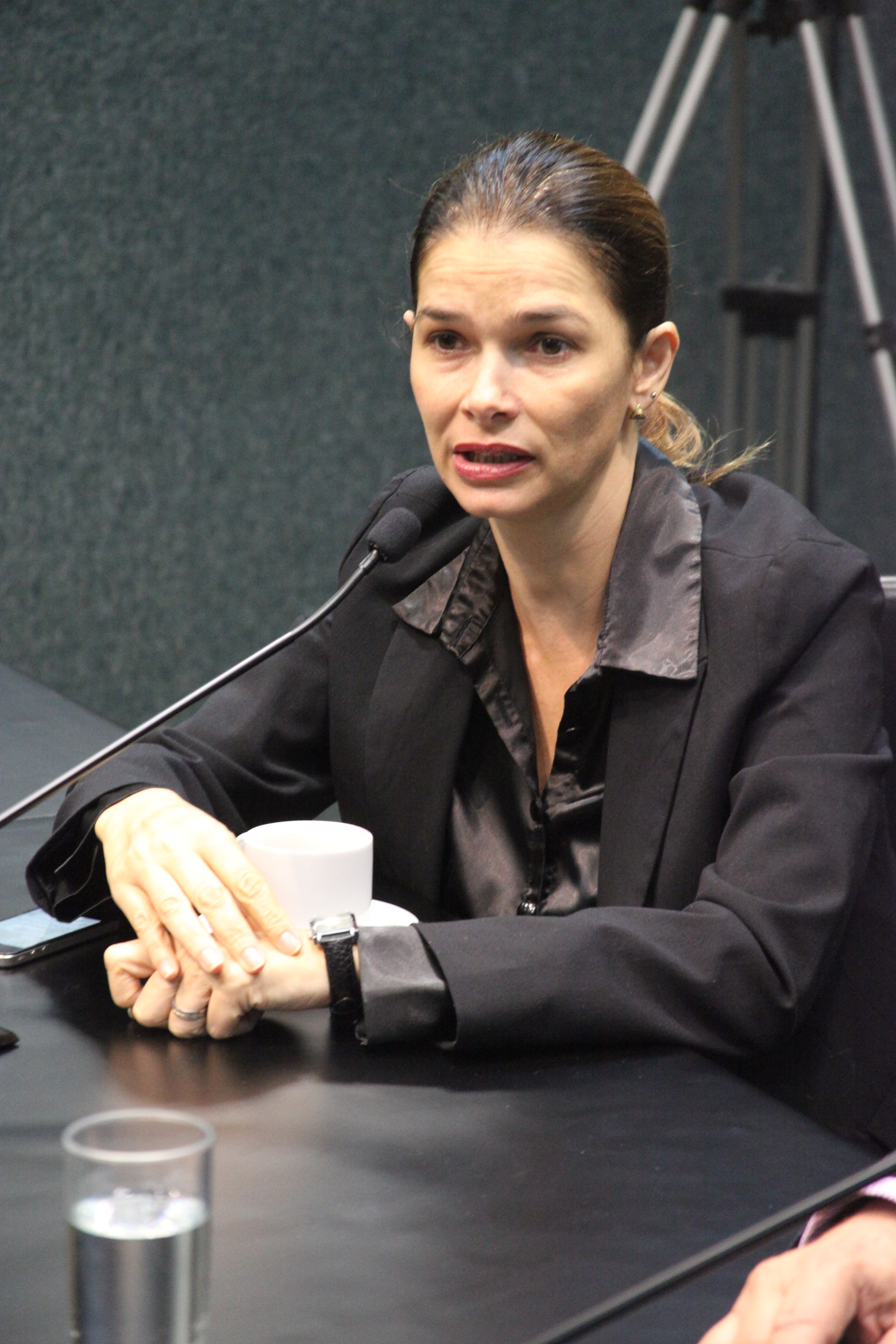 Reunião da Comissão de Finanças e Tributação. Foto: Fábio Queiroz / Agência AL
