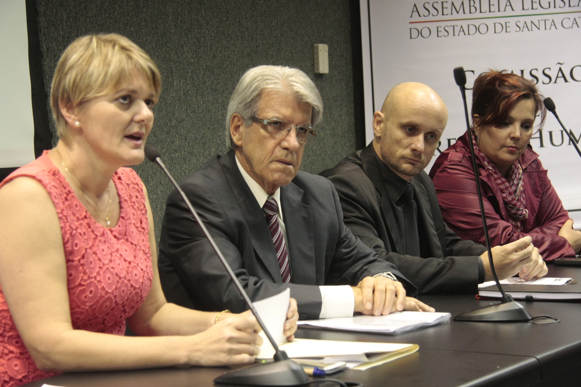 Audiência sobre a Defensoria Pública. Foto: Eduardo Guedes de Oliveira/Agência AL.