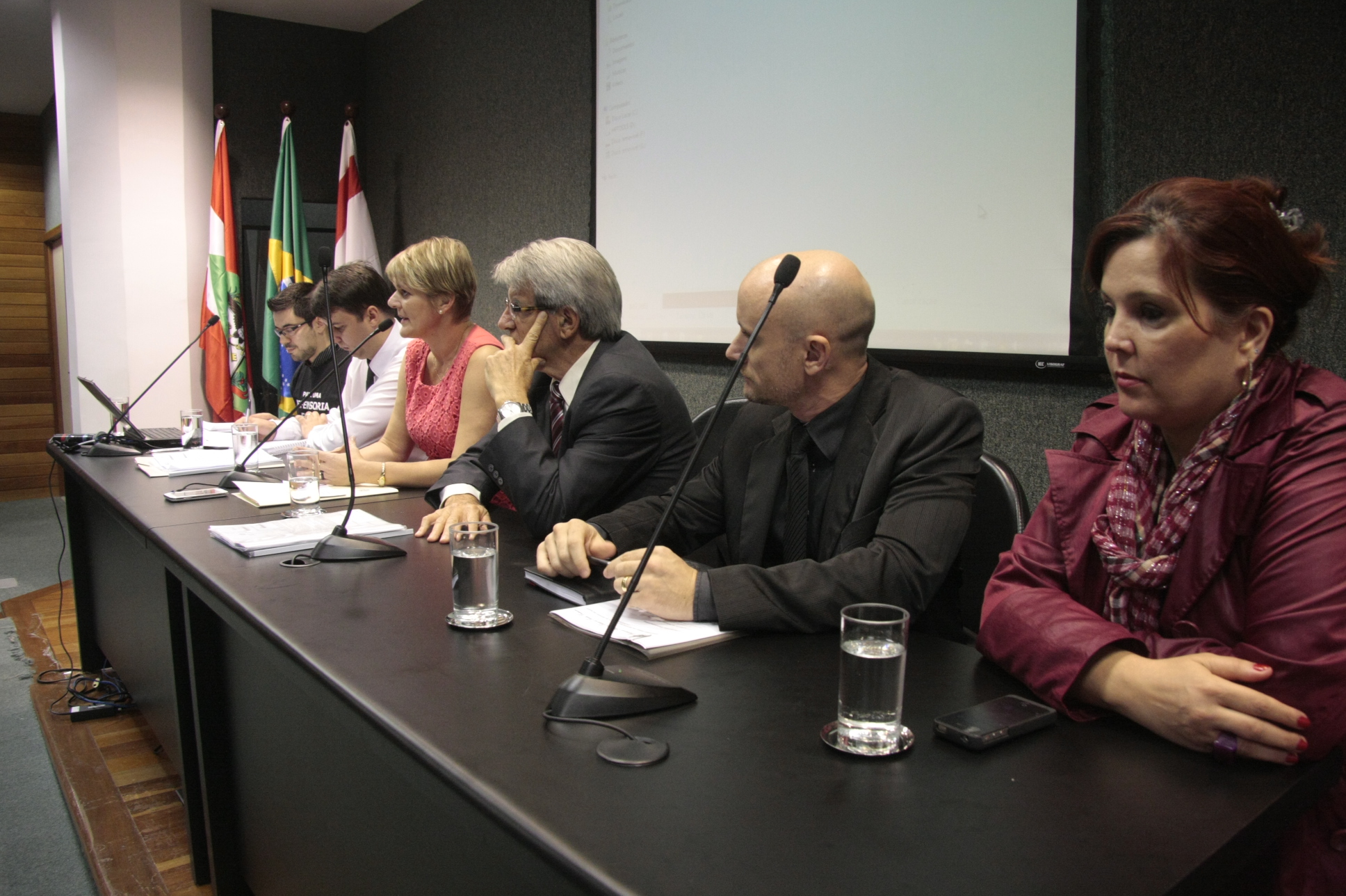 Audiência sobre a Defensoria Pública. Foto: Eduardo Guedes de Oliveira/Agência AL.