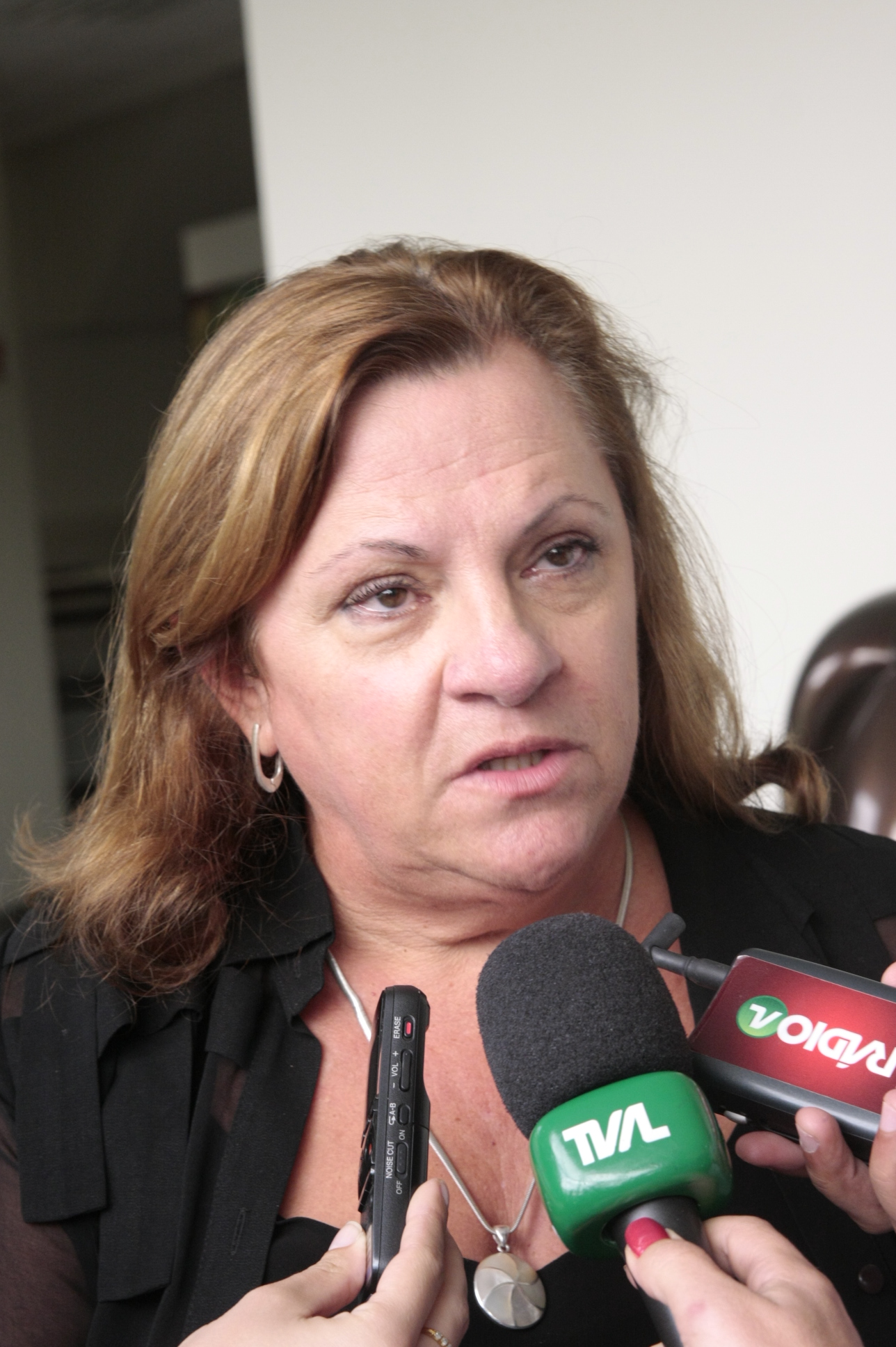 Reunião da Comissão de Saúde - Foto: Eduardo Guedes de Oliveira