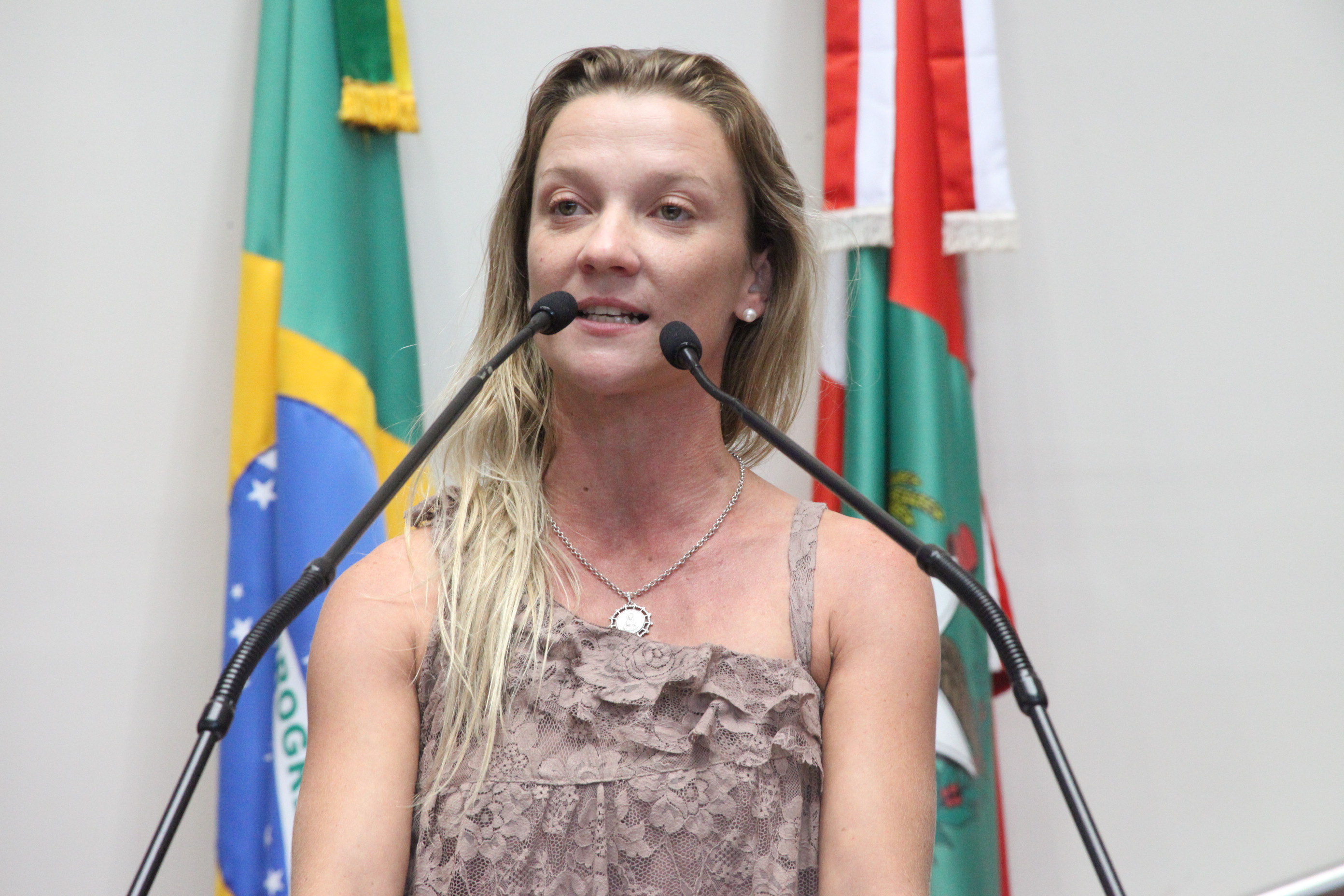Sessão Ordinária. Foto: Fábio Queiroz / Agência AL