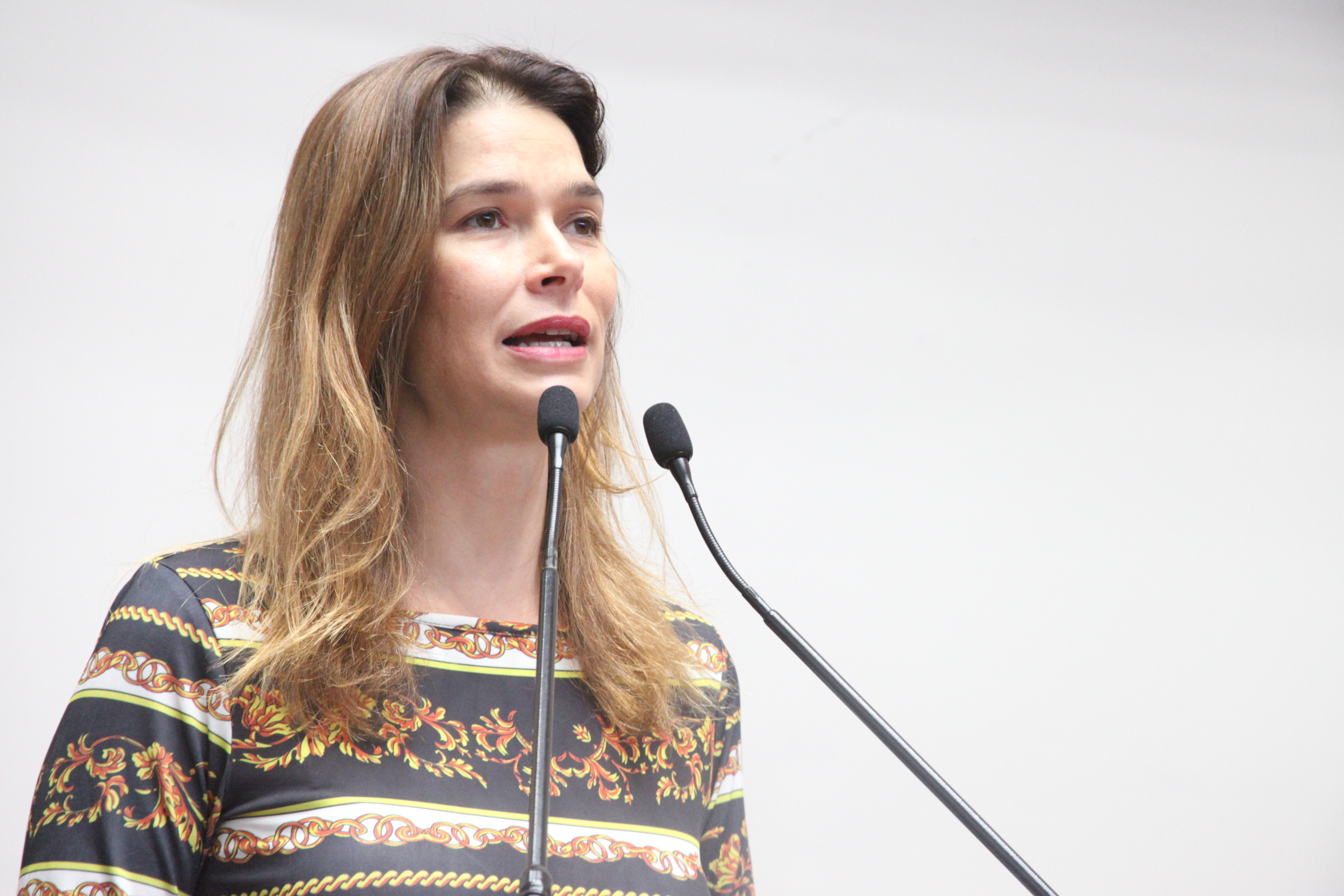 Sessão Ordinária. Foto: Fábio Queiroz / Agência AL