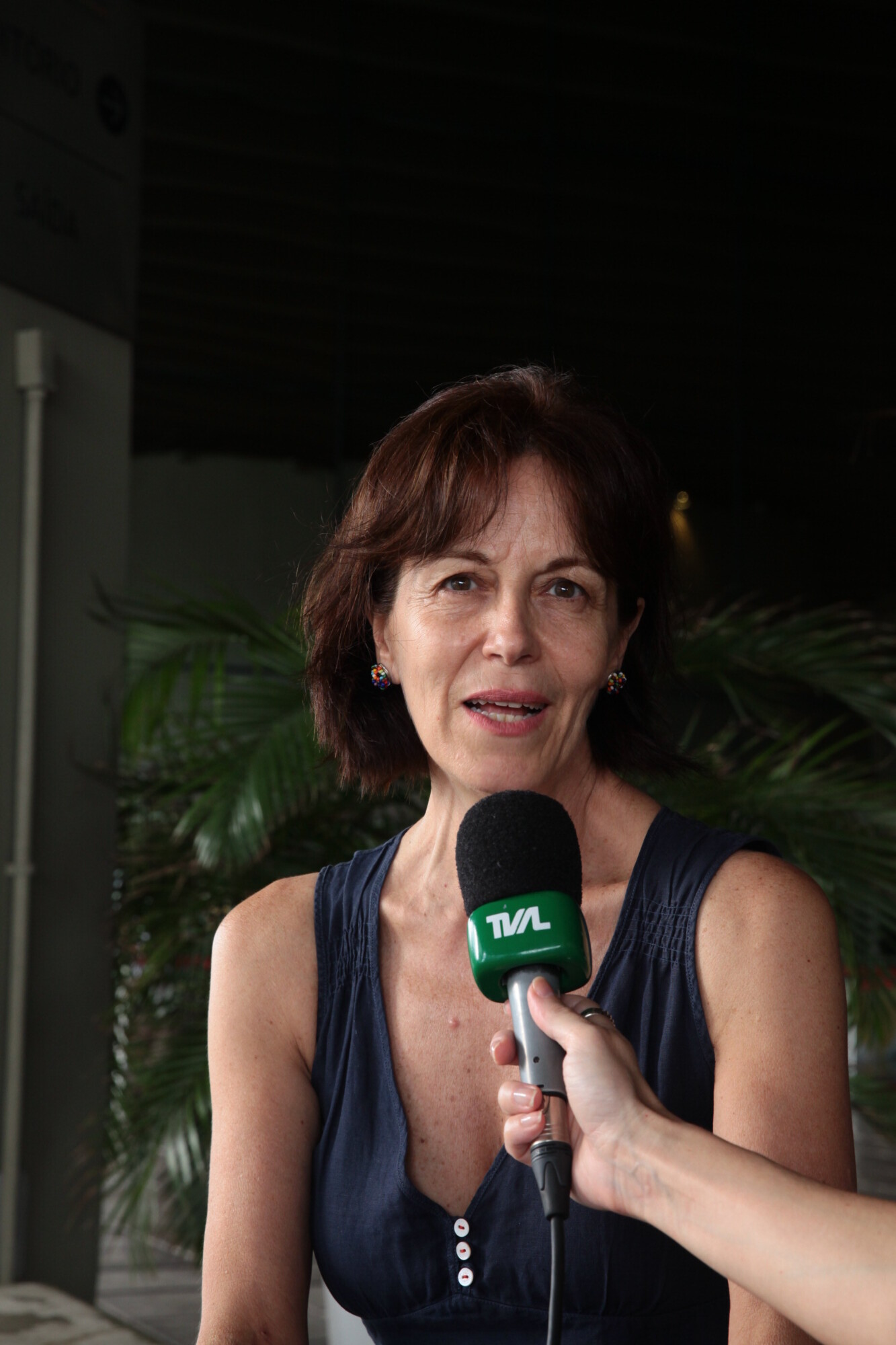 Assembleia apresenta o processo artístico de 14 pintores em mostra coletiva