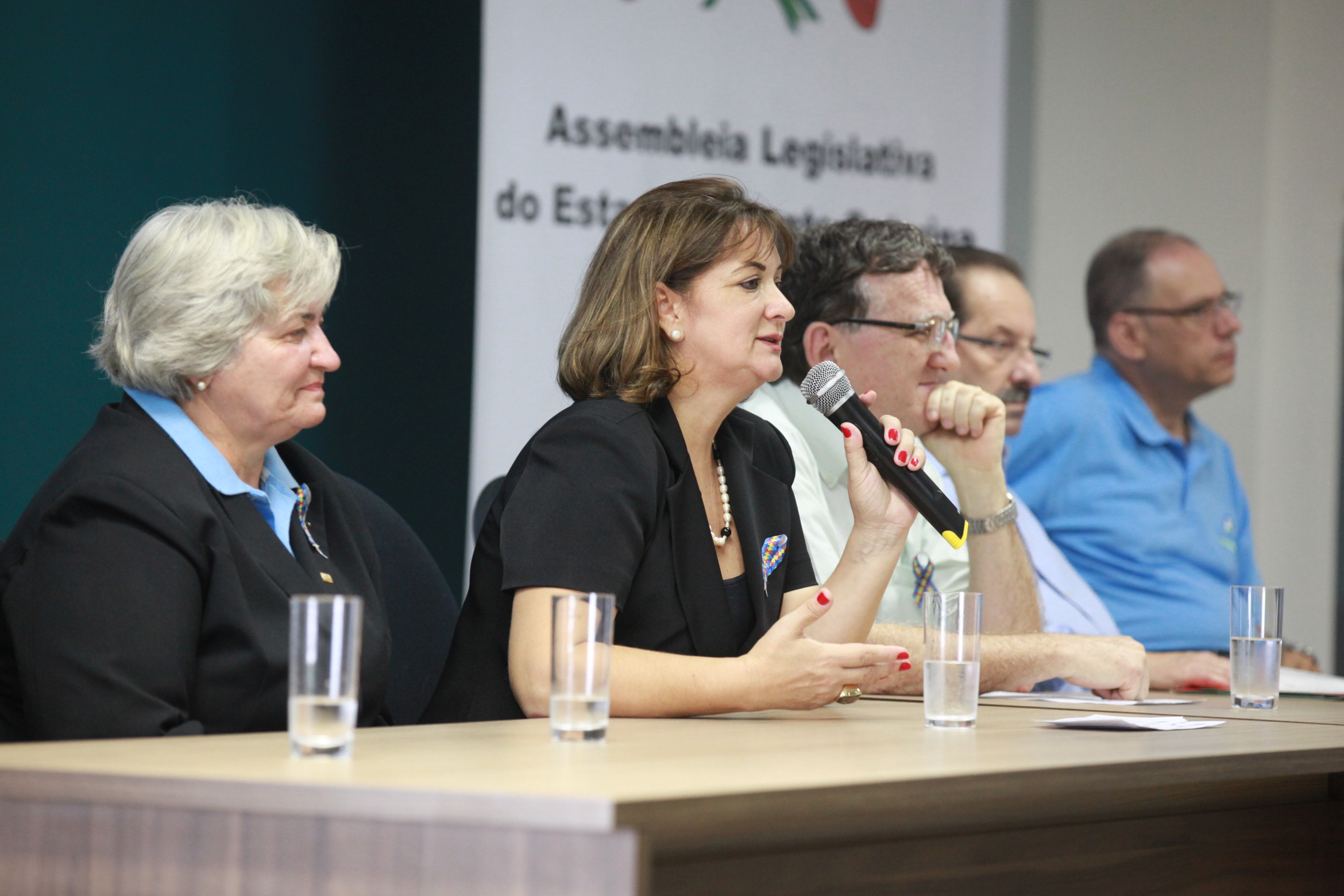 Seminário - Itajaí - Autismo - Foto: Lucas Gabriel Diniz / Agência AL