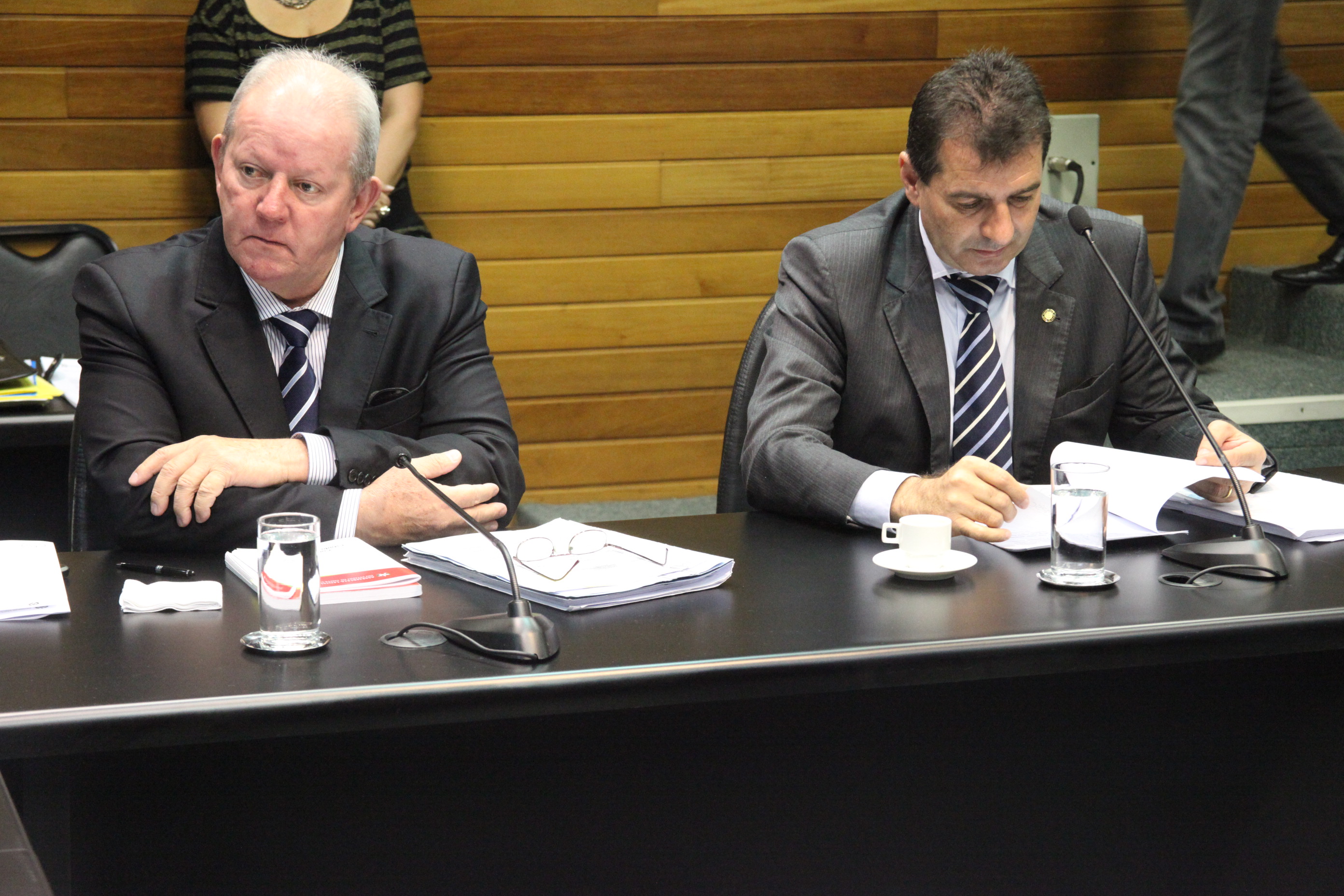 Reunião da Comissão de Finanças e Tributação. Foto: Fábio Queiroz / Agência AL