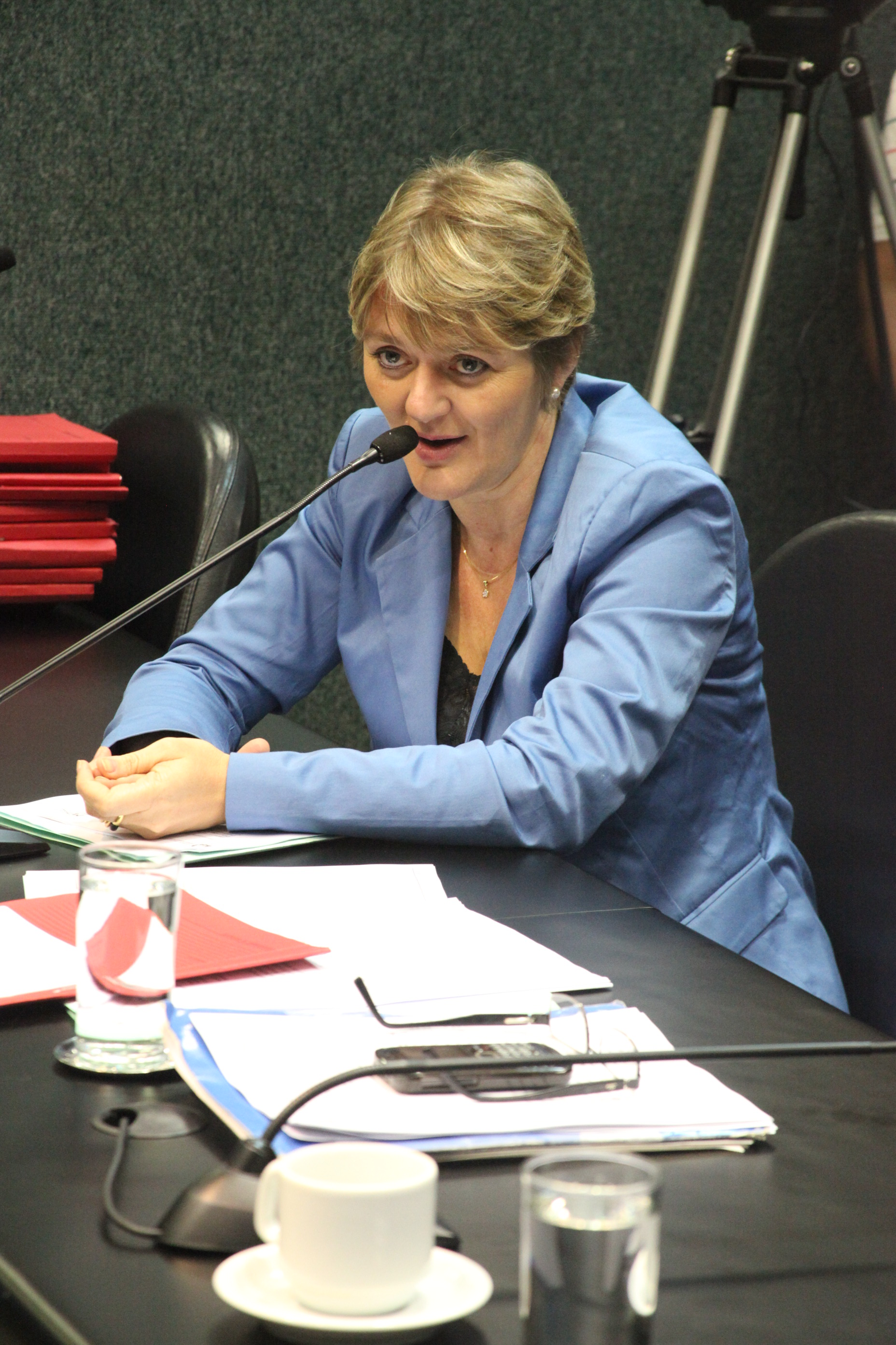 Deputada Luciane Carminatti (PT). Reunião da Comissão de Finanças e Tributação. Foto: Fábio Queiroz / Agência AL