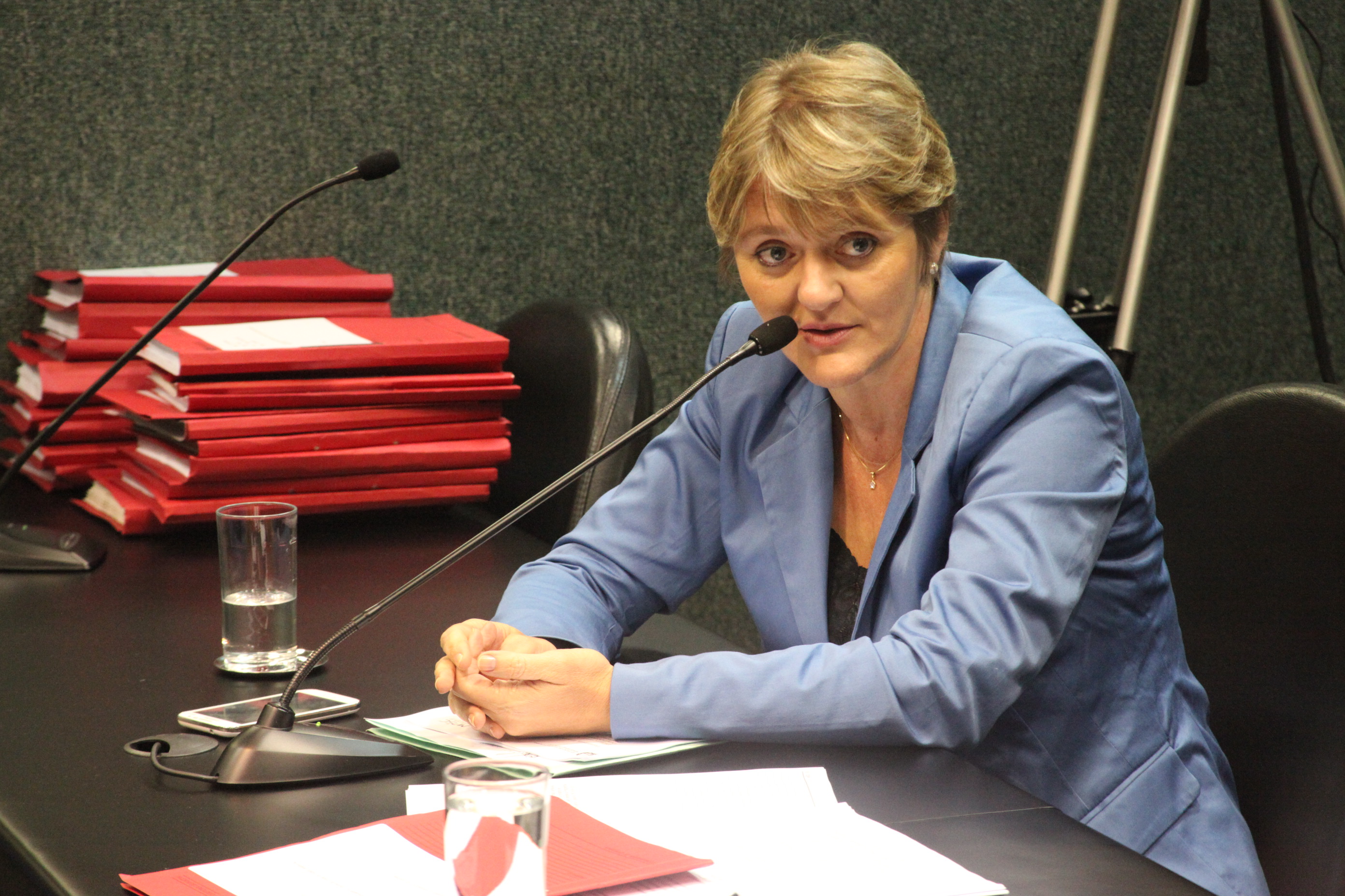 Deputada Luciane Carminatti (PT). Reunião da Comissão de Finanças e Tributação. Foto: Fábio Queiroz / Agência AL