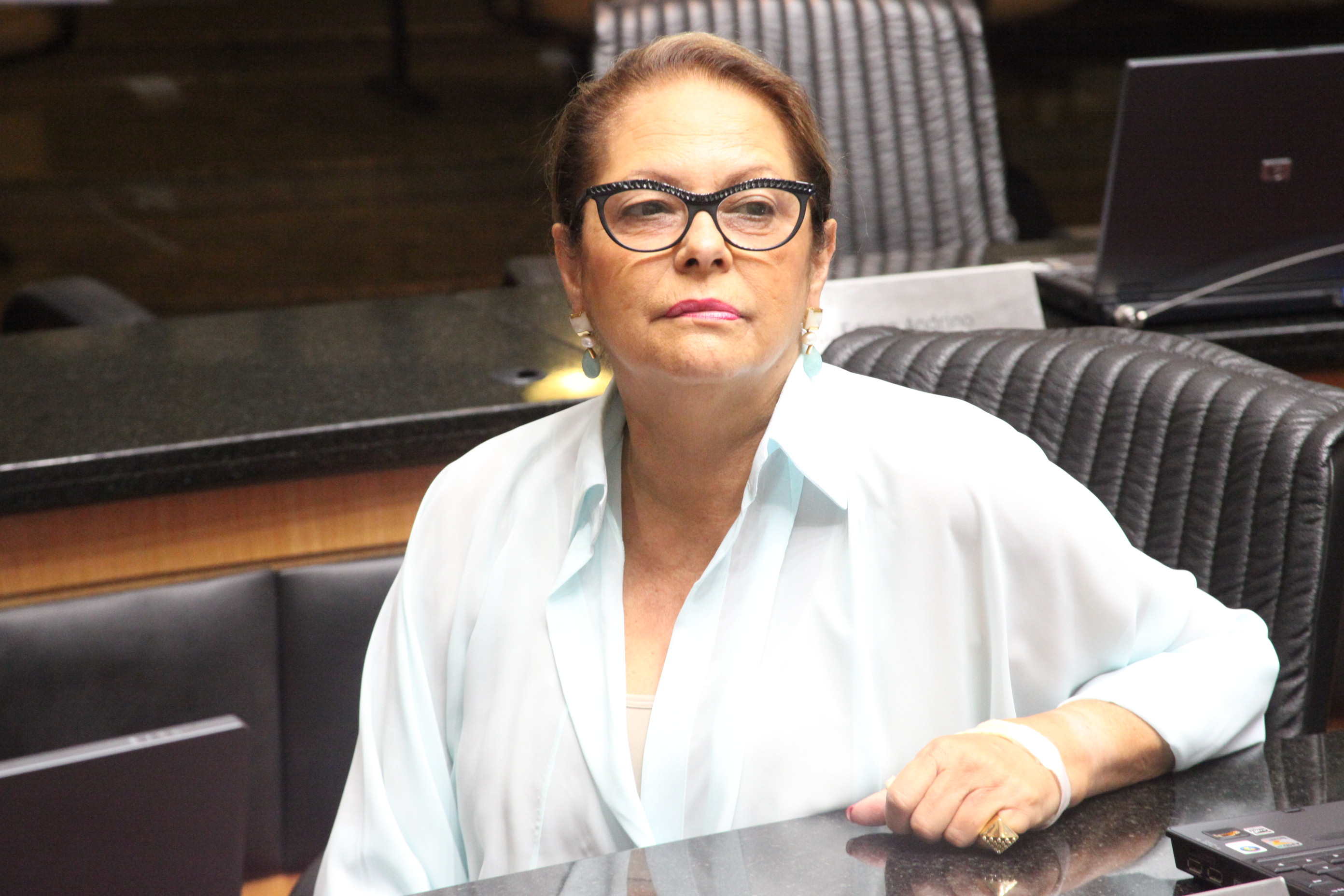 Deputada Ada De Lucca (PMDB) - Sessão Ordinária - Plenário Osni Regis. Foto: Fábio Queiroz / Agência AL