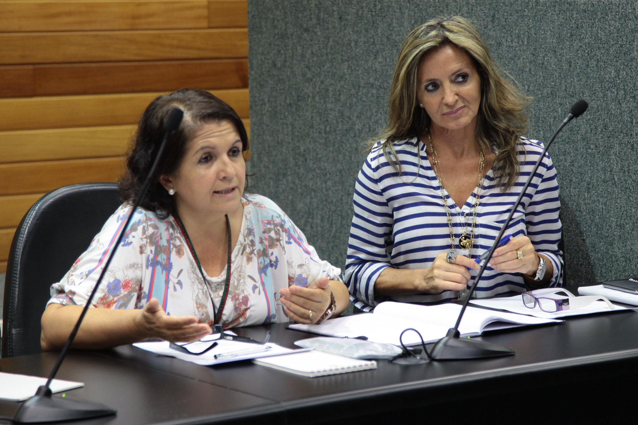 Reunião do Programa Consciência Limpa - Foto: Juliana Stadnik / Agência AL
