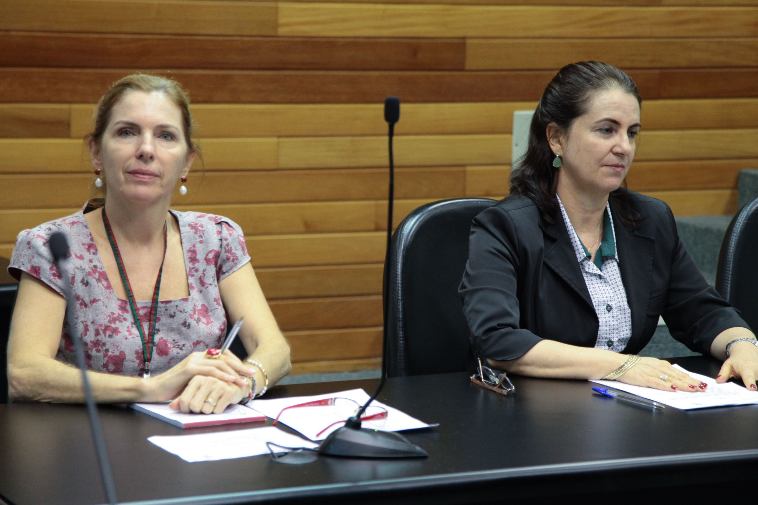 Reunião do Programa Consciência Limpa - Foto: Juliana Stadnik / Agência AL
