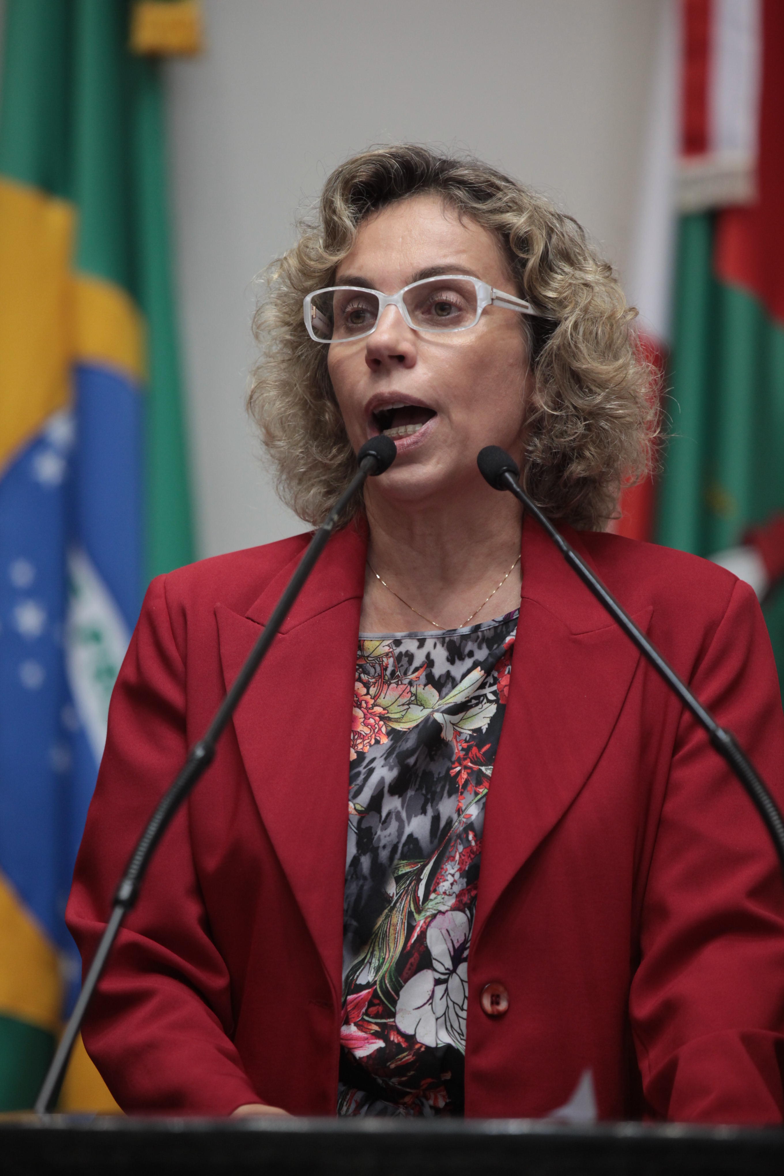 Sessão Ordinária Plenário Osni Régis