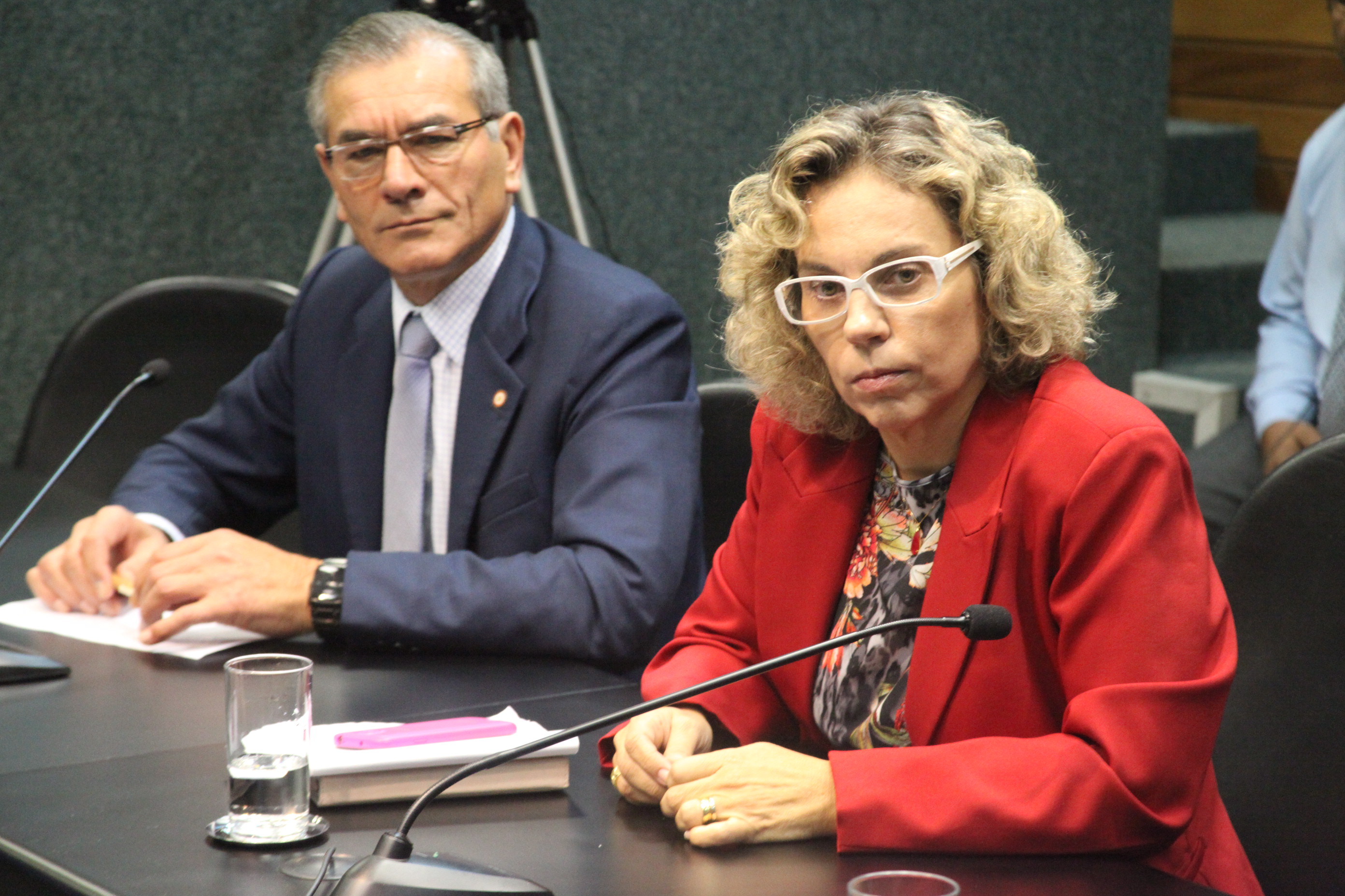 Reunião da Comissão de Constituição e Justiça. Foto: Fábio Queiroz / Agência AL