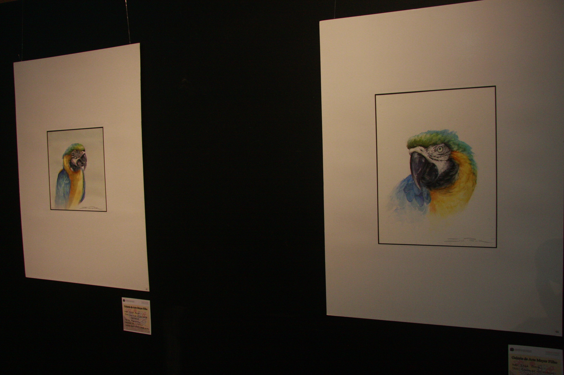 Exposição de Aquarela Iraê Beck - Foto: Eduardo Guedes de Oliveira / Agência AL