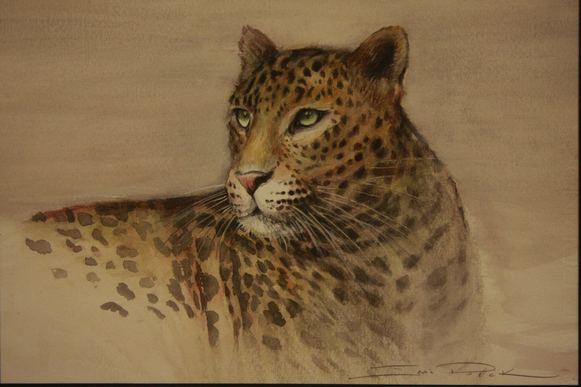 Exposição de Aquarela Iraê Beck - Foto: Eduardo Guedes de Oliveira / Agência AL