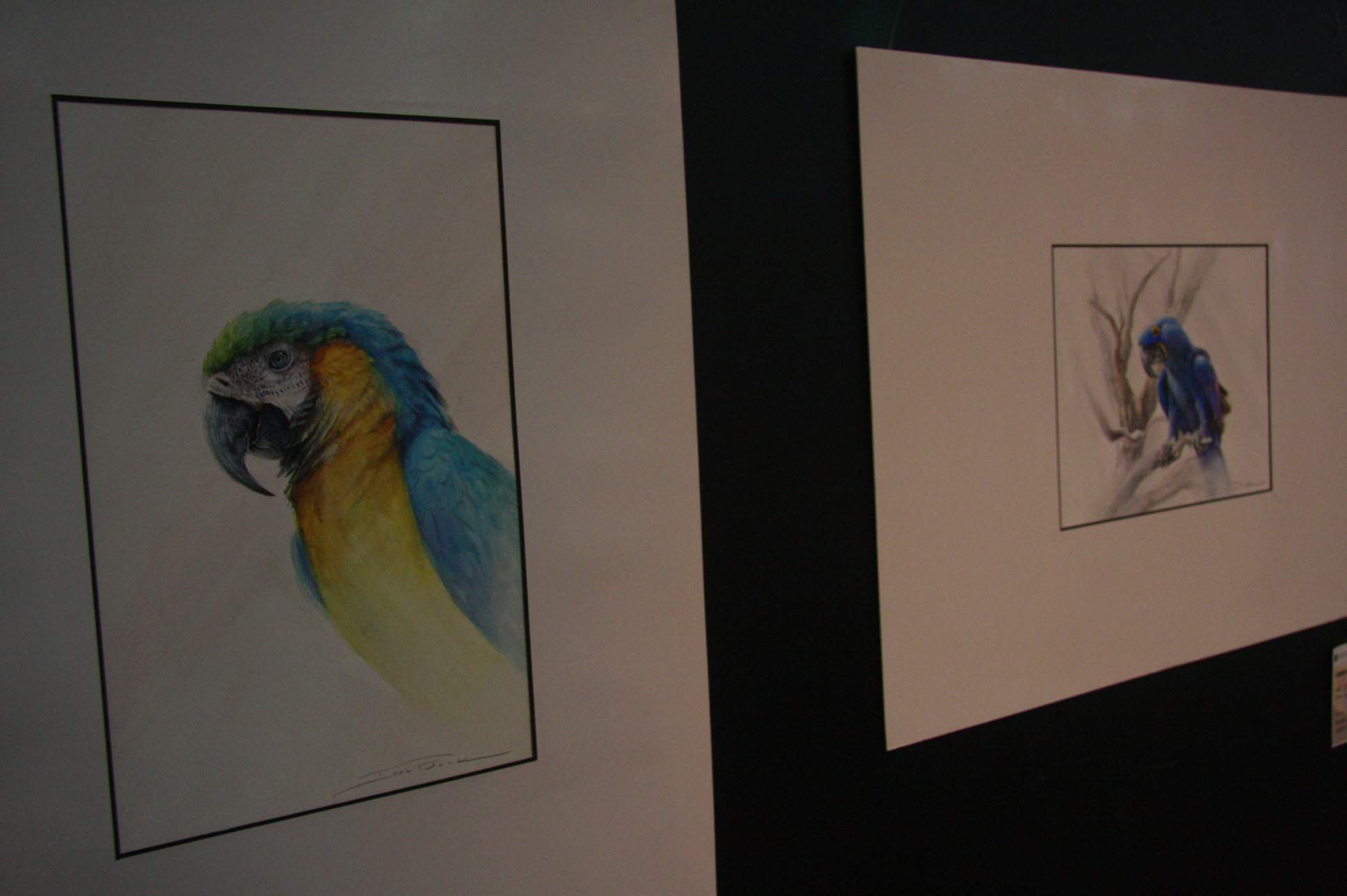 Exposição de Aquarela Iraê Beck - Foto: Eduardo Guedes de Oliveira / Agência AL