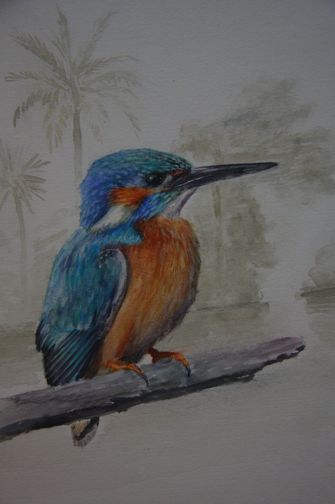 Exposição de Aquarela Iraê Beck - Foto: Eduardo Guedes de Oliveira / Agência AL