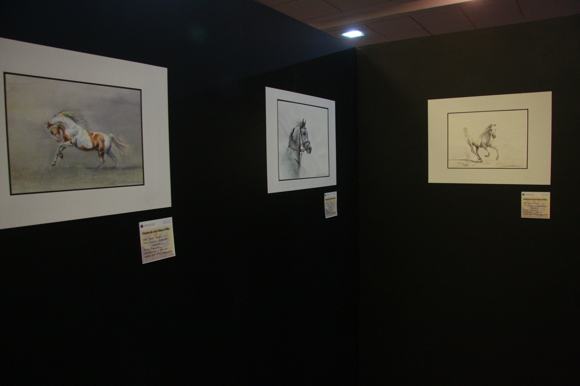 Exposição de Aquarela Iraê Beck - Foto: Eduardo Guedes de Oliveira / Agência AL