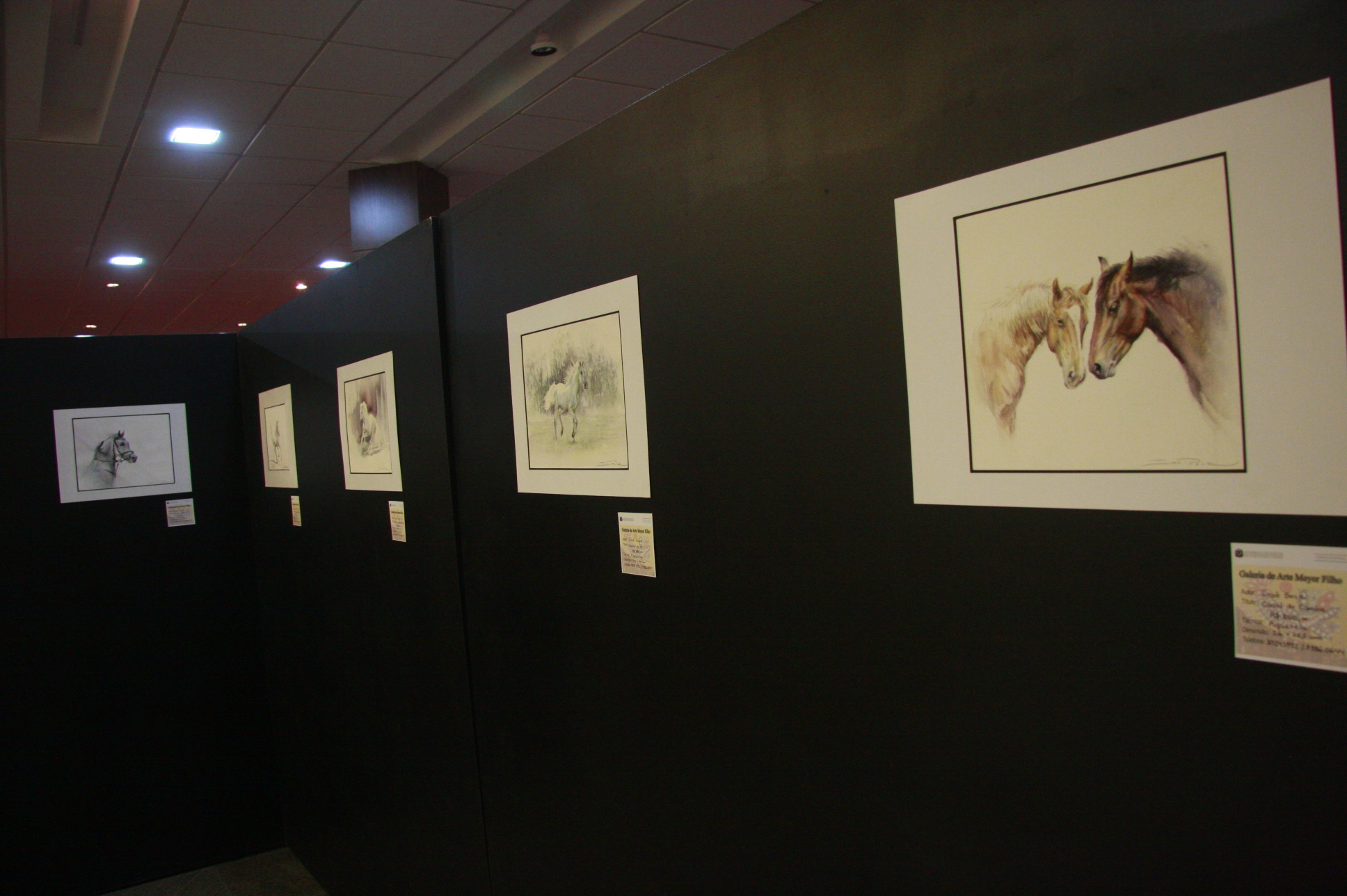Exposição de Aquarela Iraê Beck - Foto: Eduardo Guedes de Oliveira / Agência AL