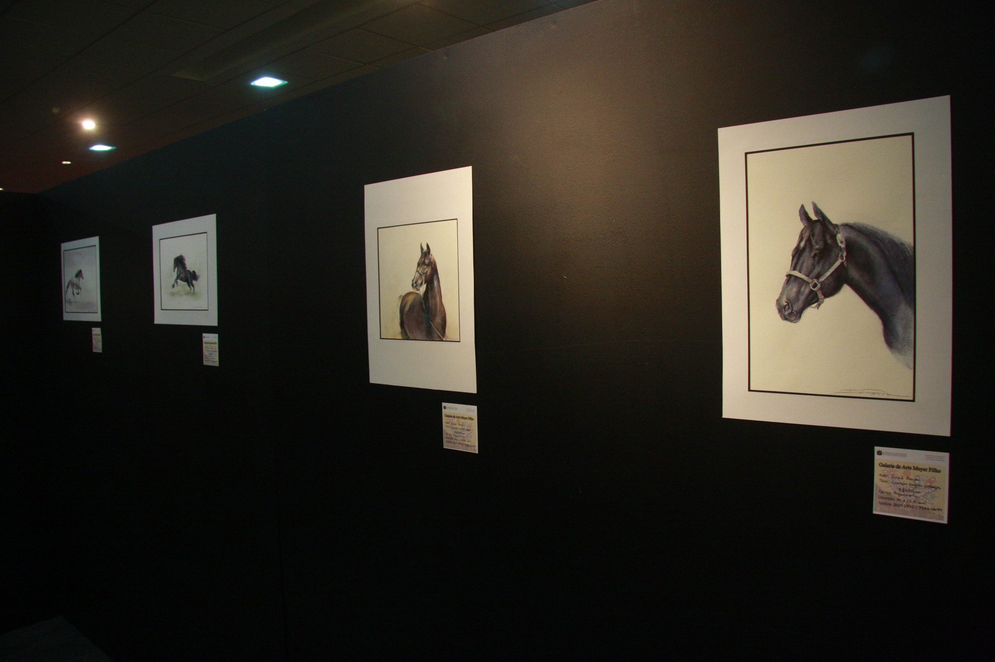 Exposição de Aquarela Iraê Beck - Foto: Eduardo Guedes de Oliveira / Agência AL