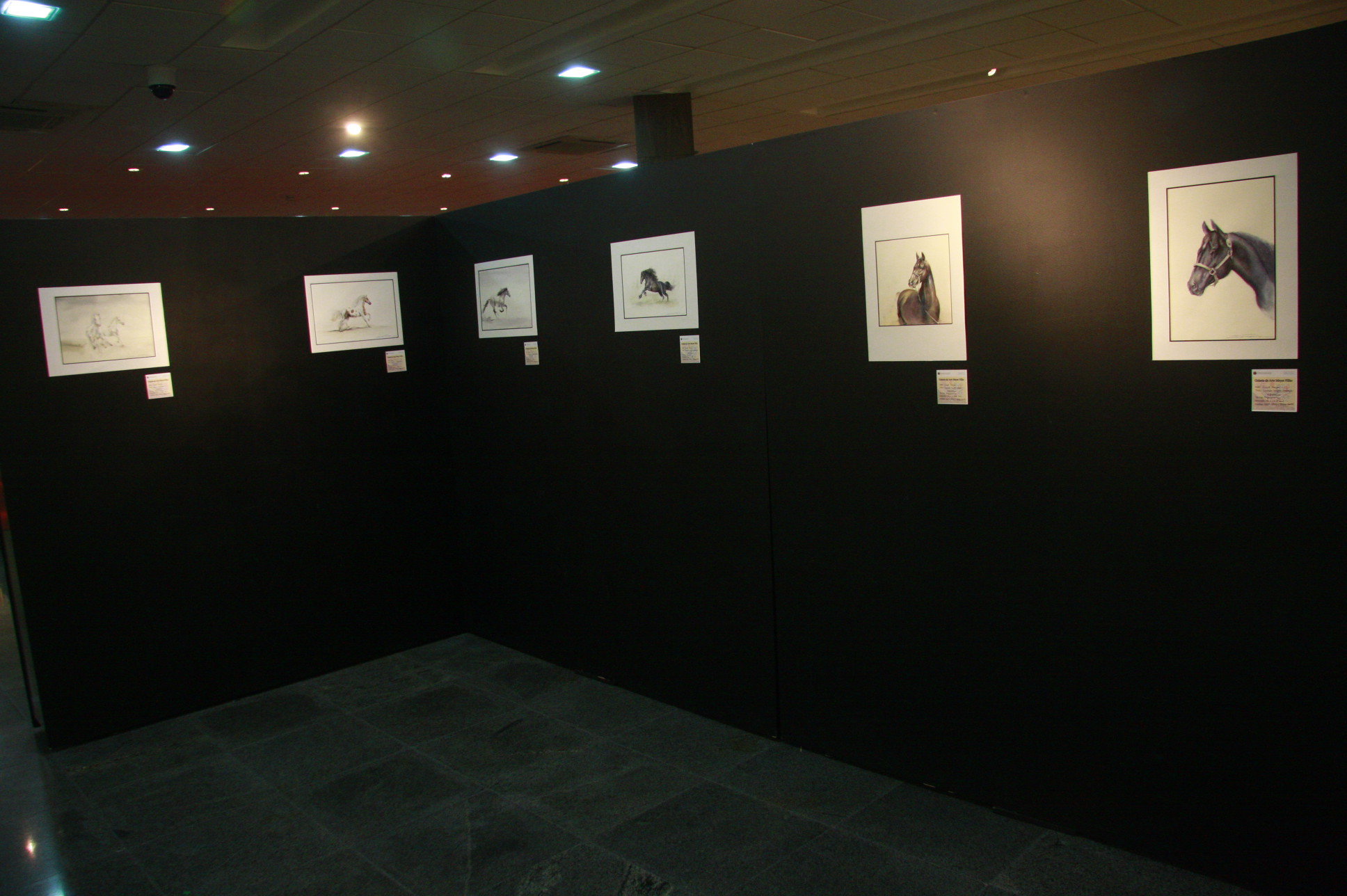 Exposição de Aquarela Iraê Beck - Foto: Eduardo Guedes de Oliveira / Agência AL