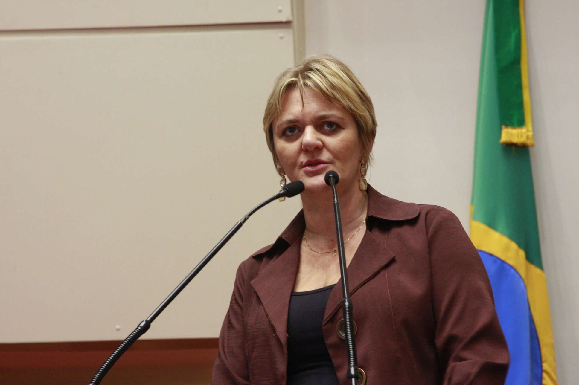 Sessão Ordinária - Plenário Osni Régis - Dep. Luciane Carminatti - Foto: Eduardo Guedes de Oliveira / Agência AL