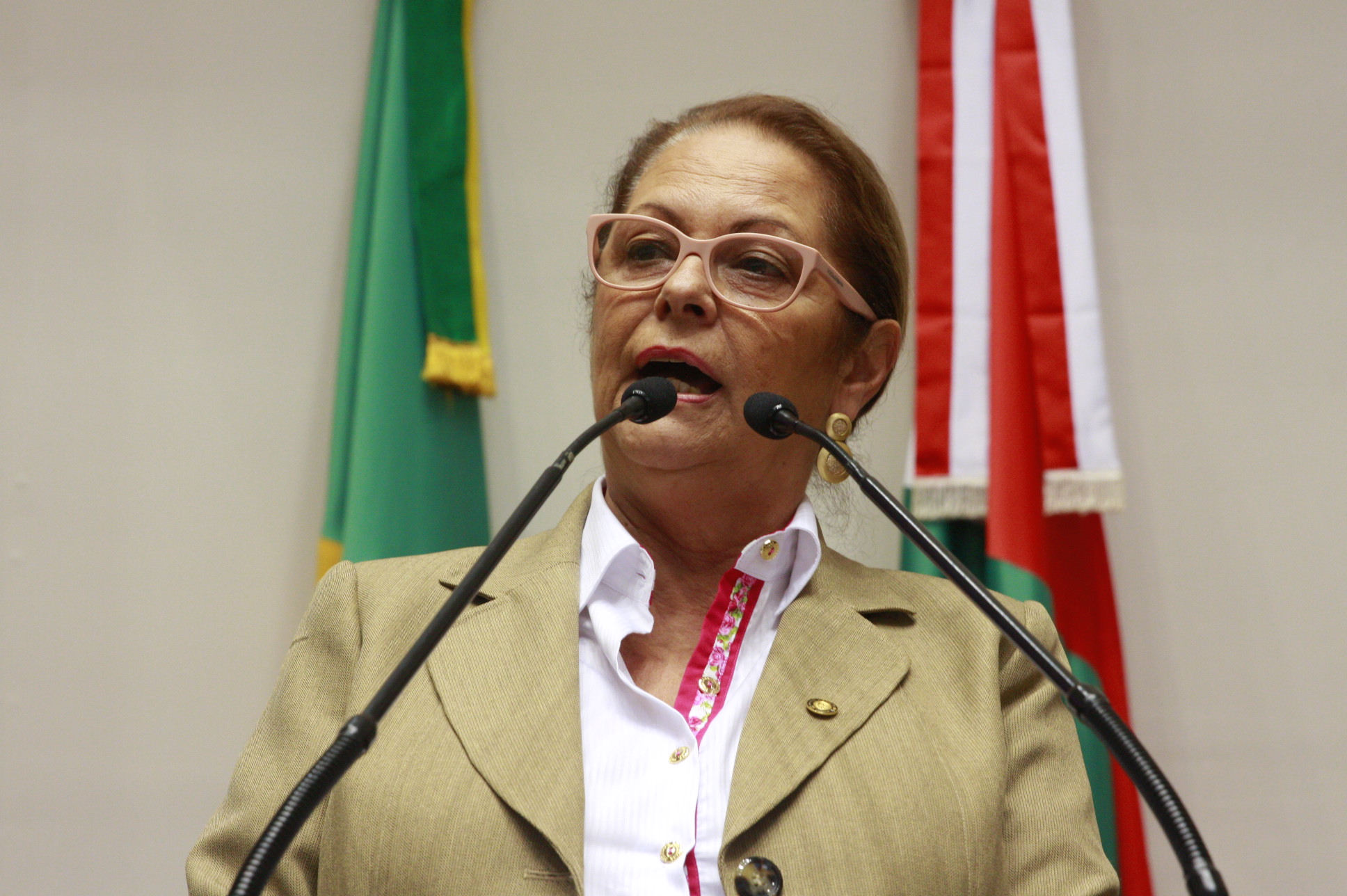 Sessão Ordinária - Plenário Osni Régis - Dep. Ada de Luca - Foto: Eduardo Guedes de Oliveira / Agência AL