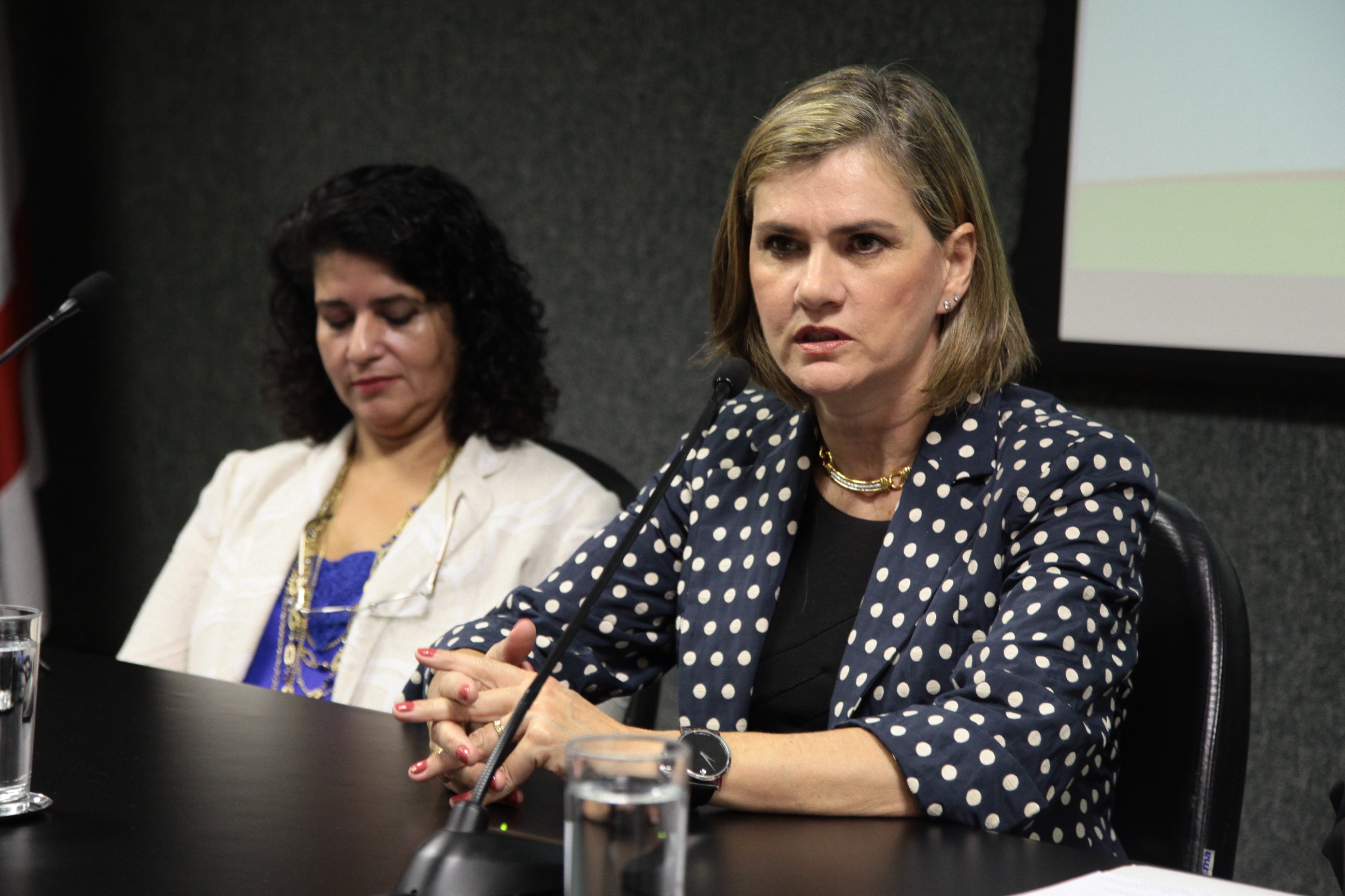 Encontro Estadual das Secretarias Municipais de Assistência Social, sobre a erradicação do trabalho infantil em Santa Catarina. Foto: Miriam Zomer/Agência AL